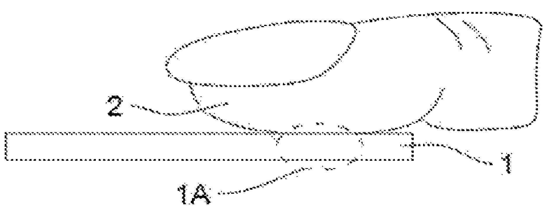 US_2024194721_PA