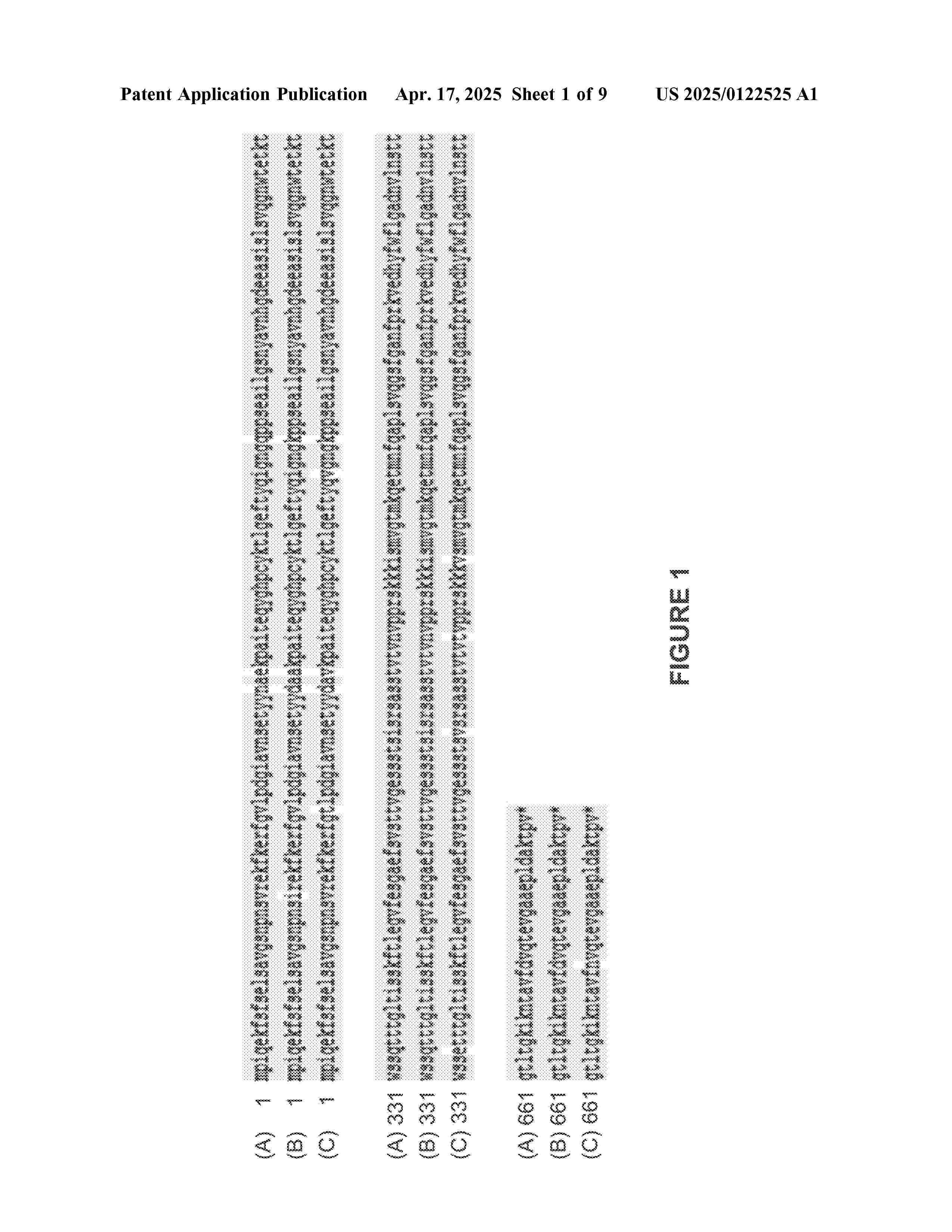 US_2025122525_A1