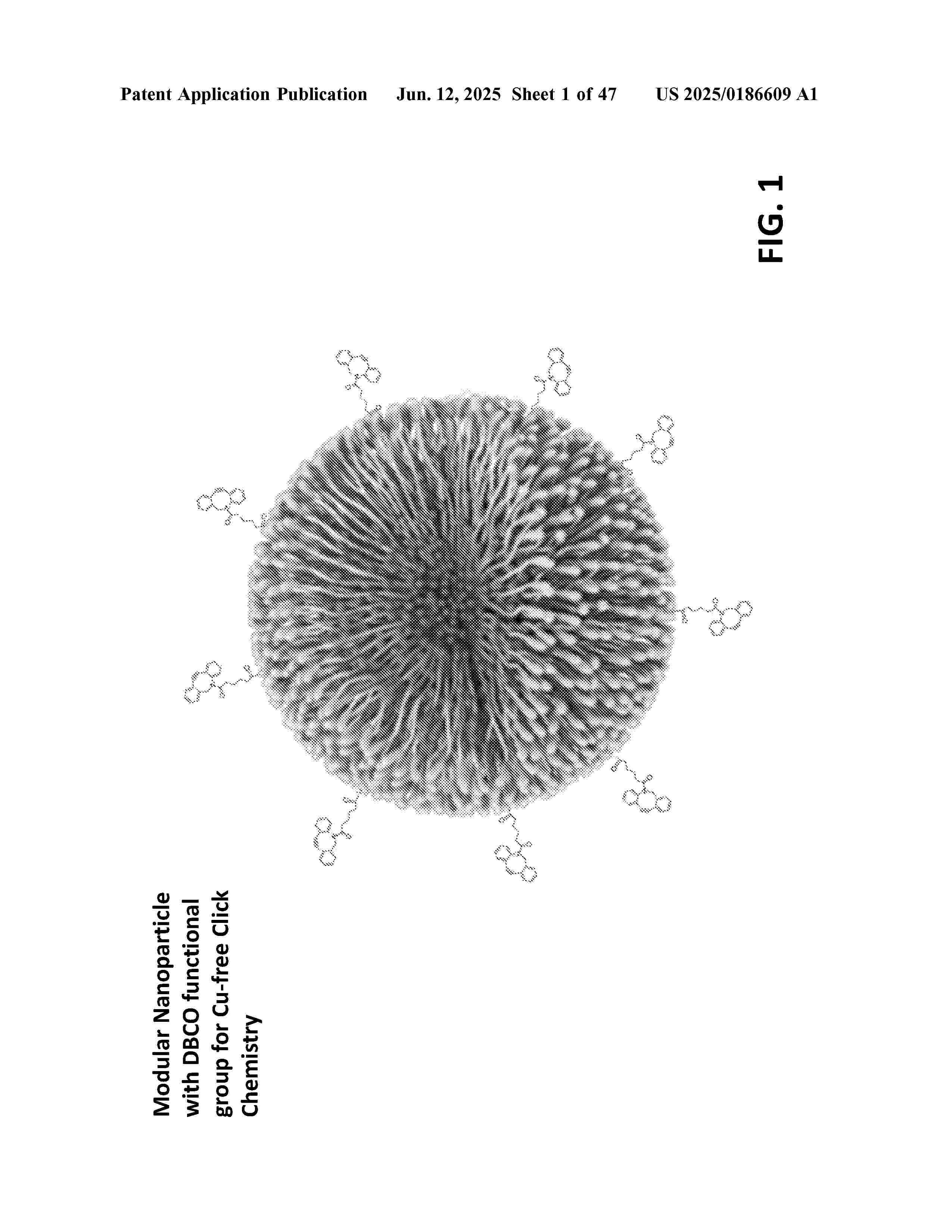 US_2025186609_A1