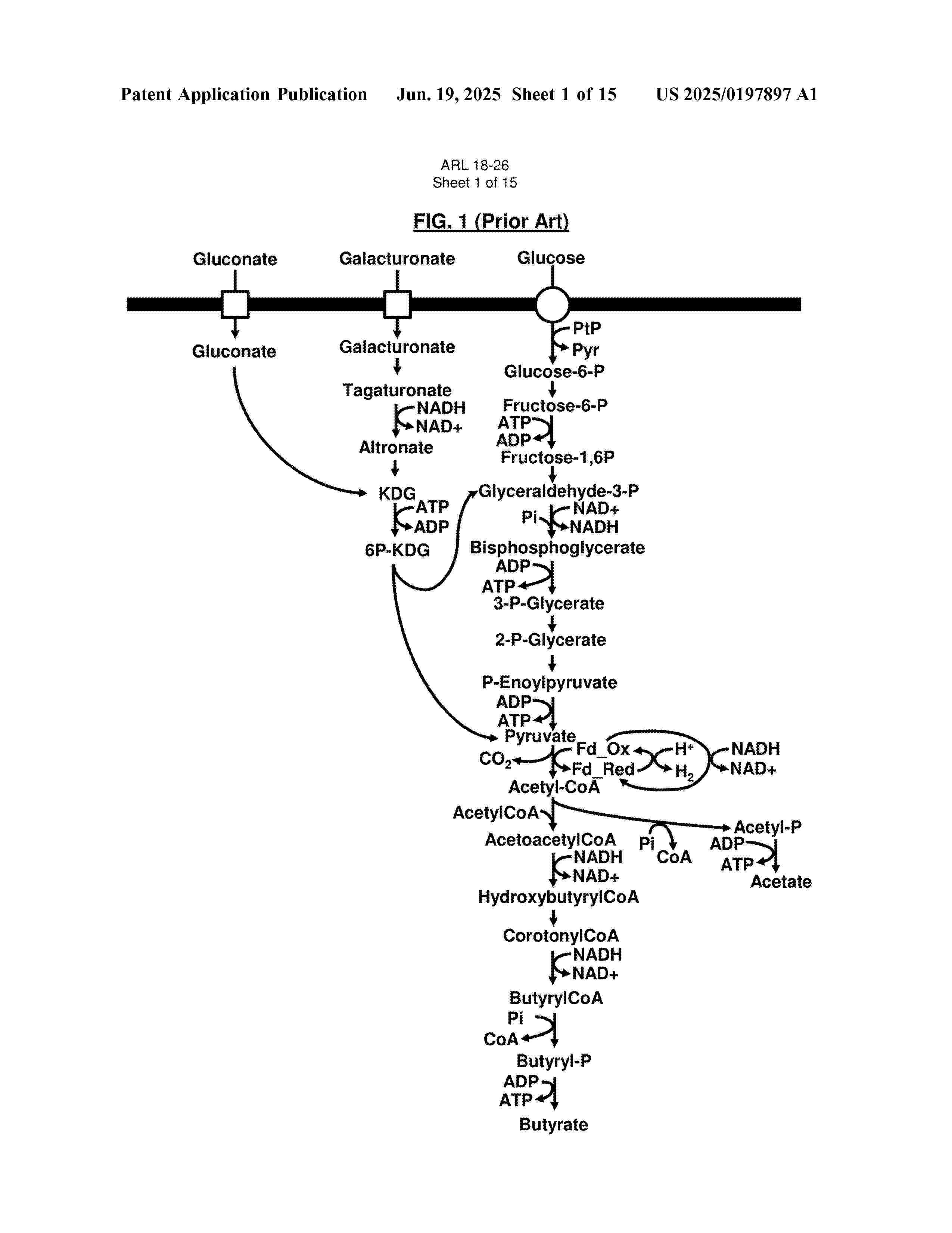 US_2025197897_A1
