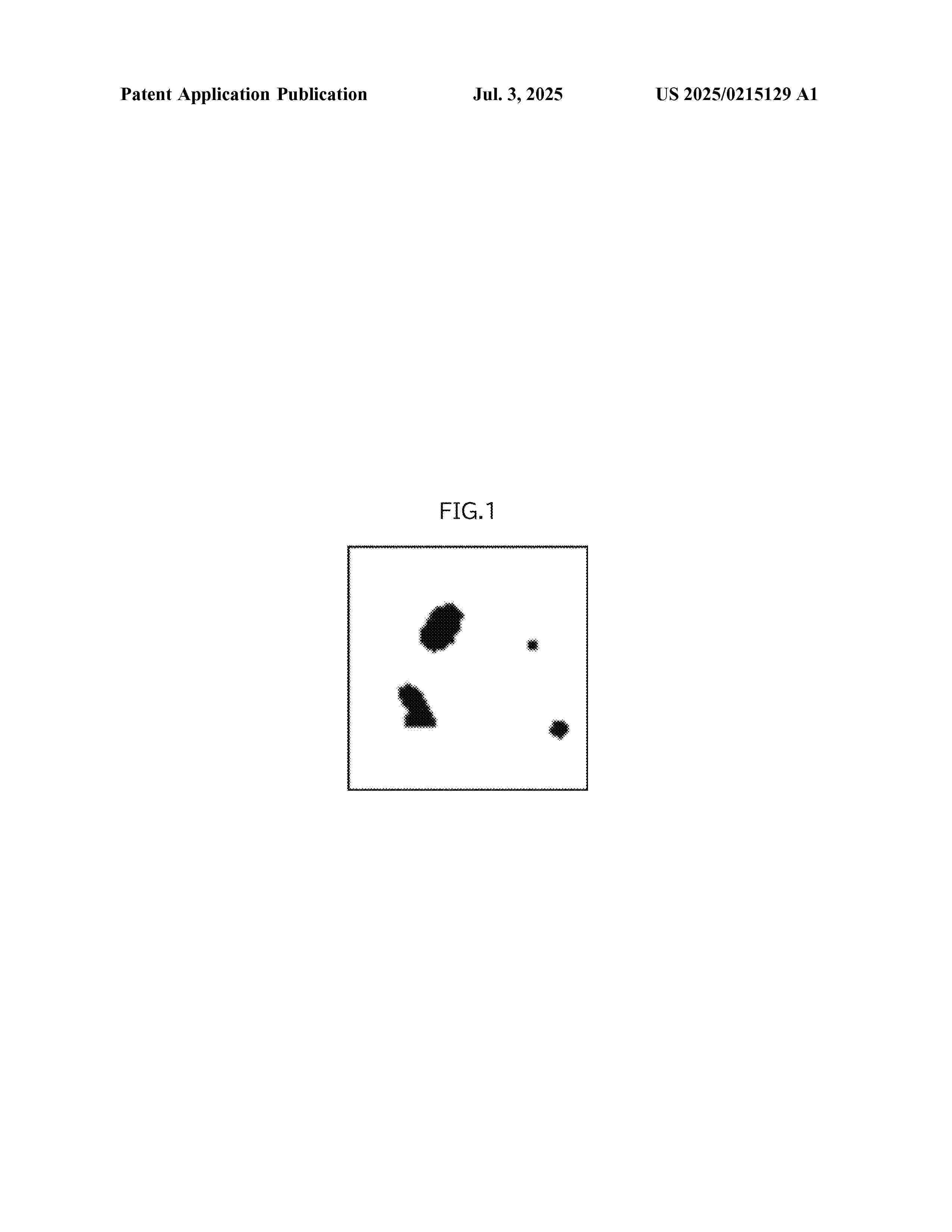 US_2025215129_A1