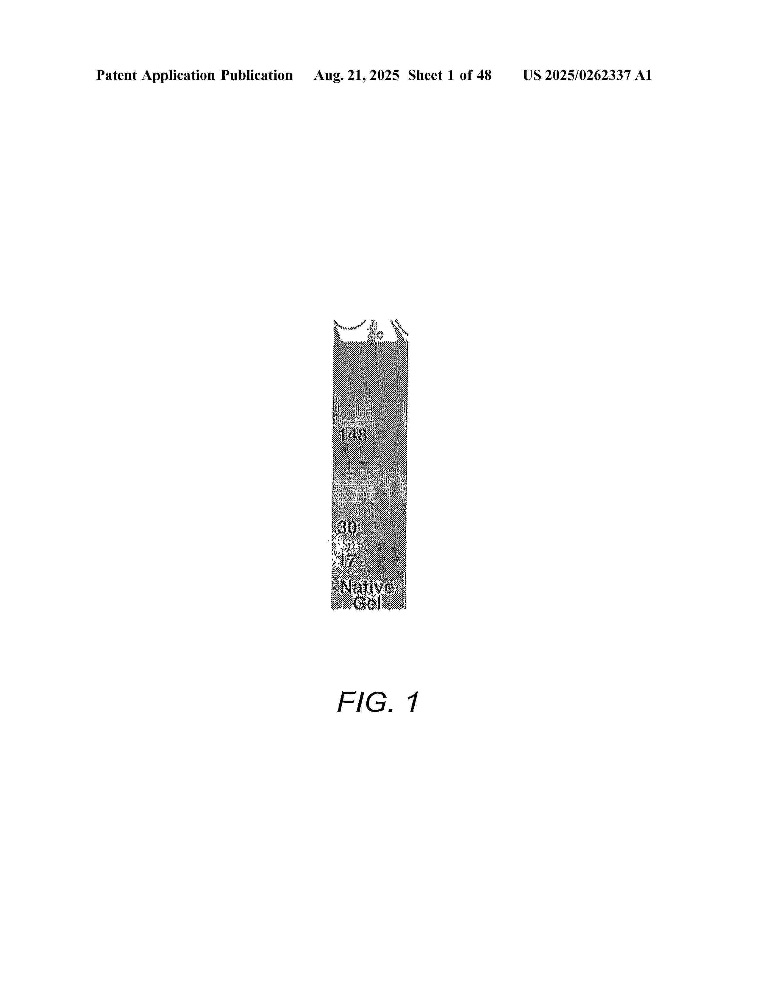 US_2025262337_A1