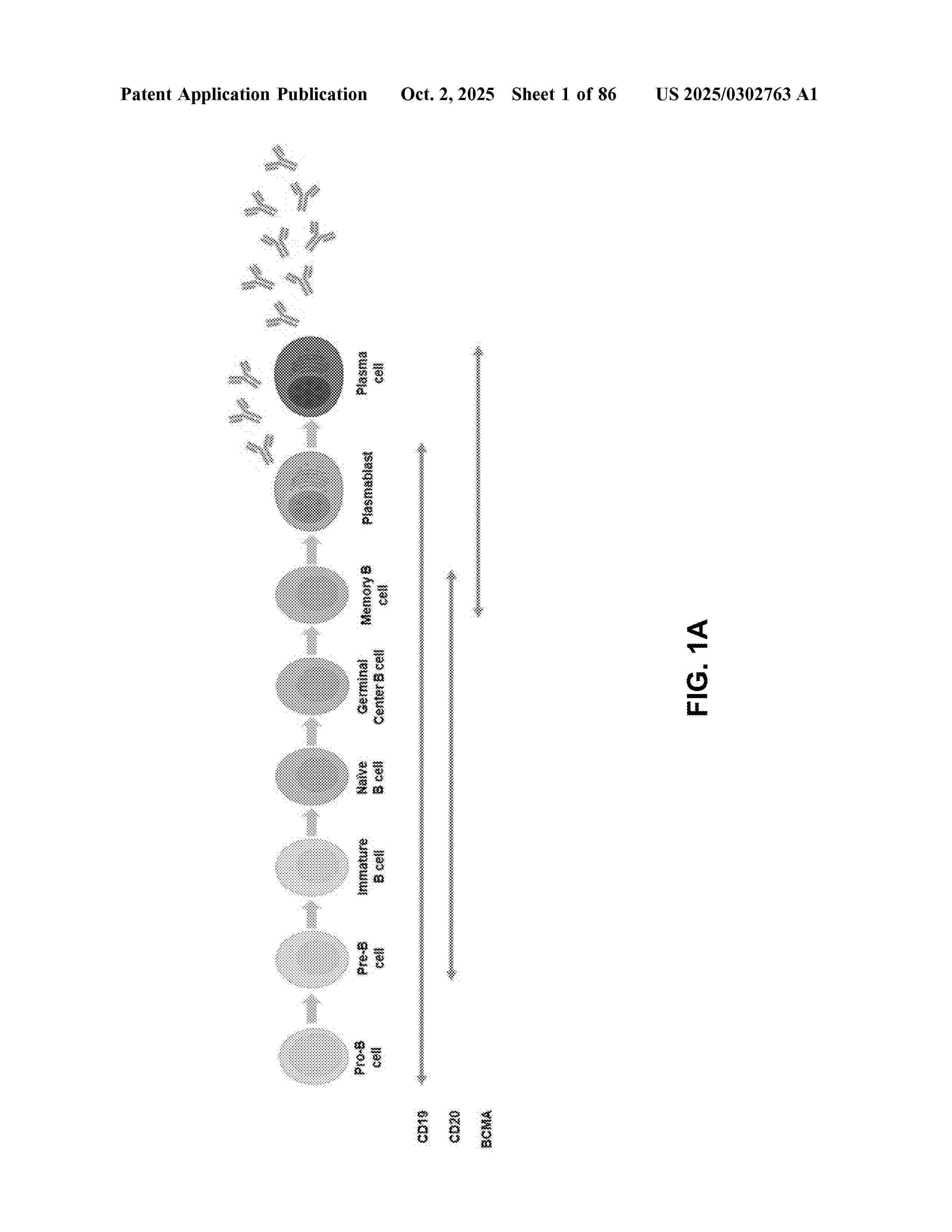 US_2025302763_A1