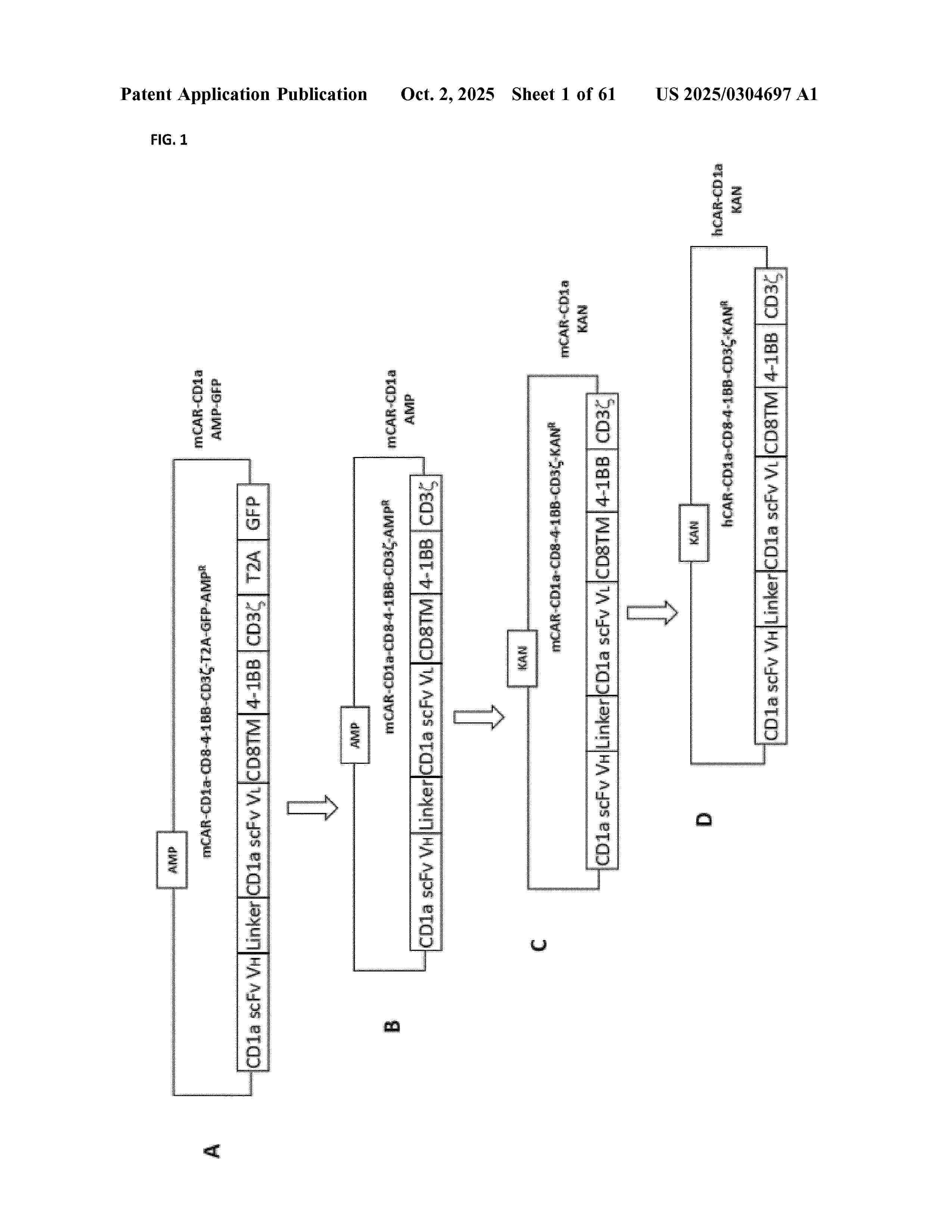 US_2025304697_A1