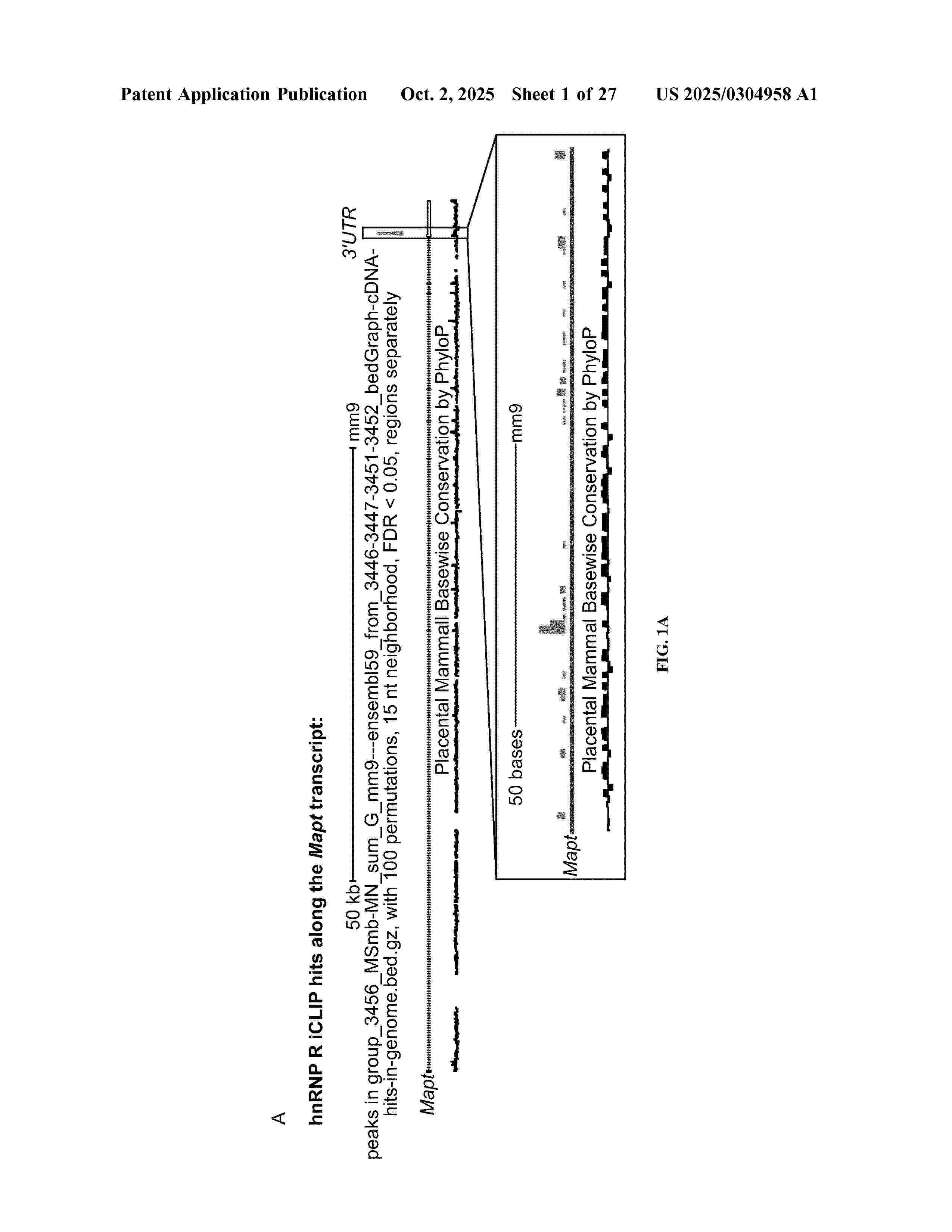 US_2025304958_A1