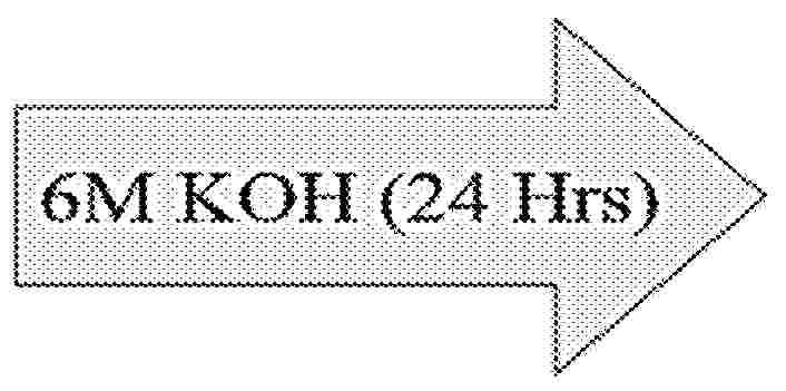 US_2025316735_PA