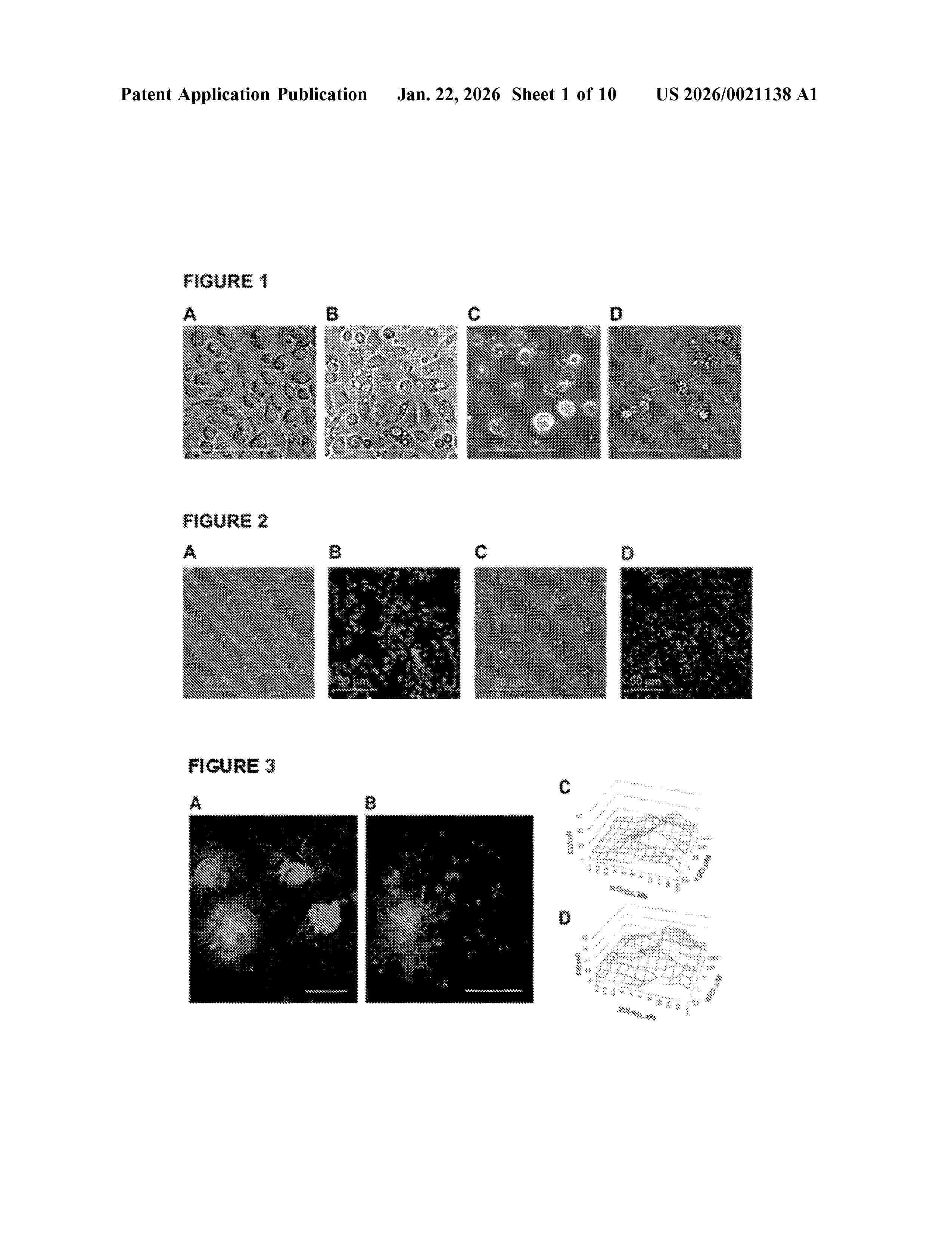 US_20260021138_A1