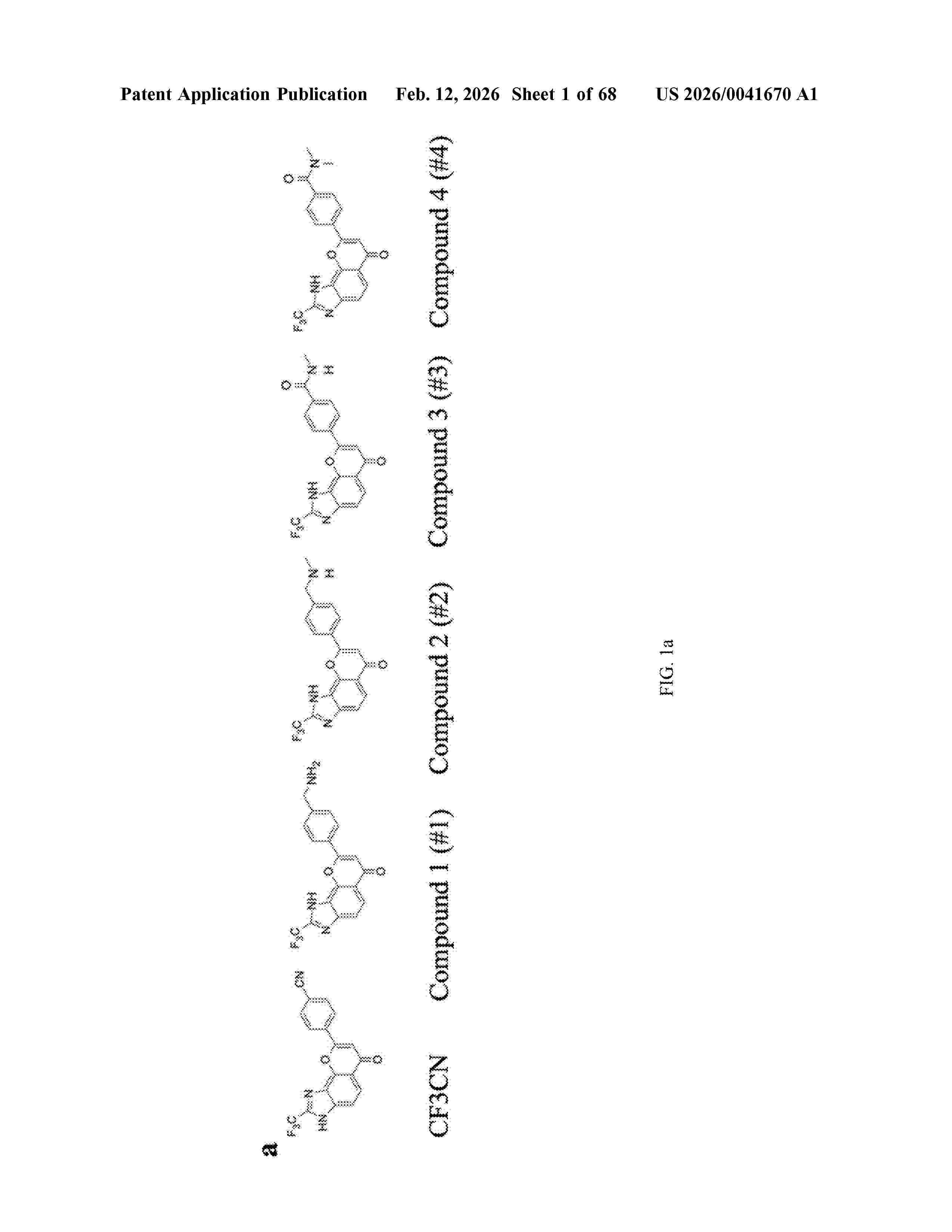 US_20260041670_A1