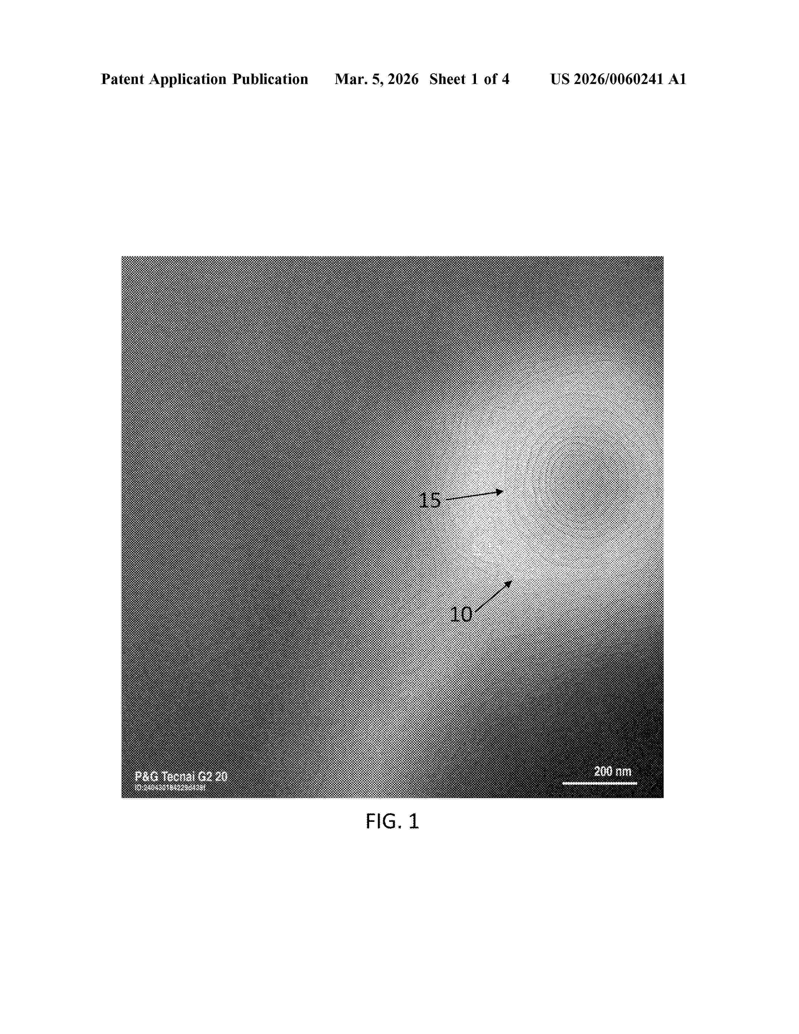 US_20260060241_A1