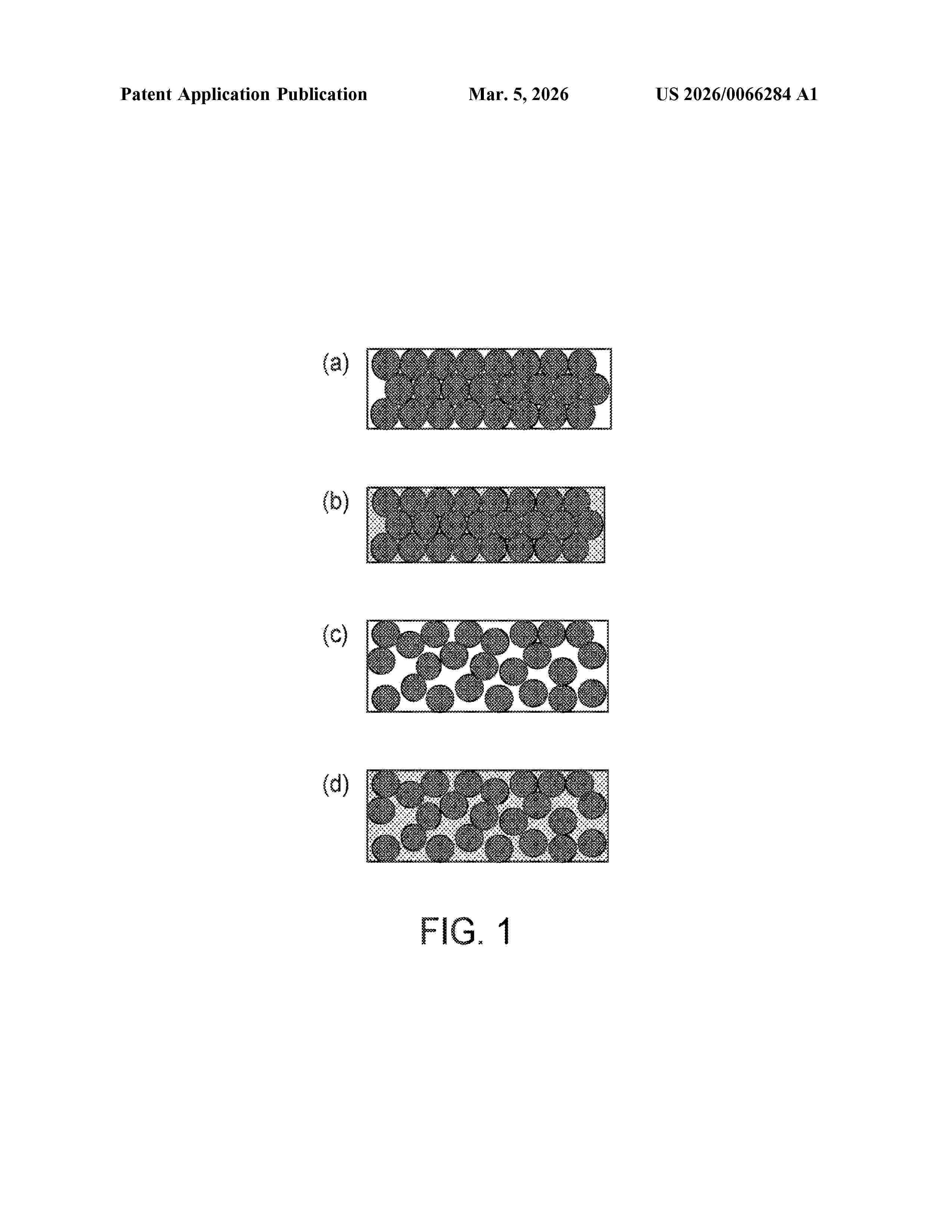 US_20260066284_A1