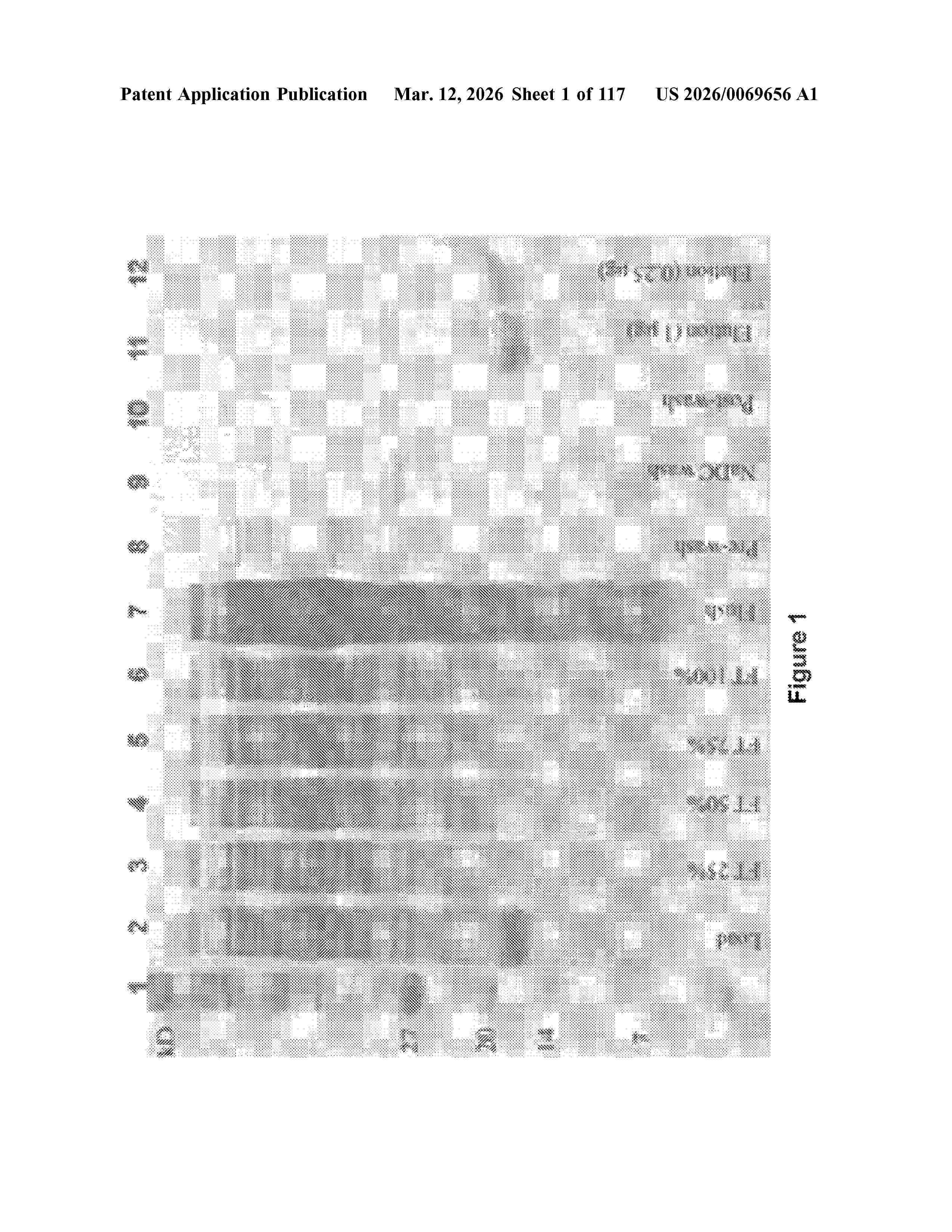 US_20260069656_A1