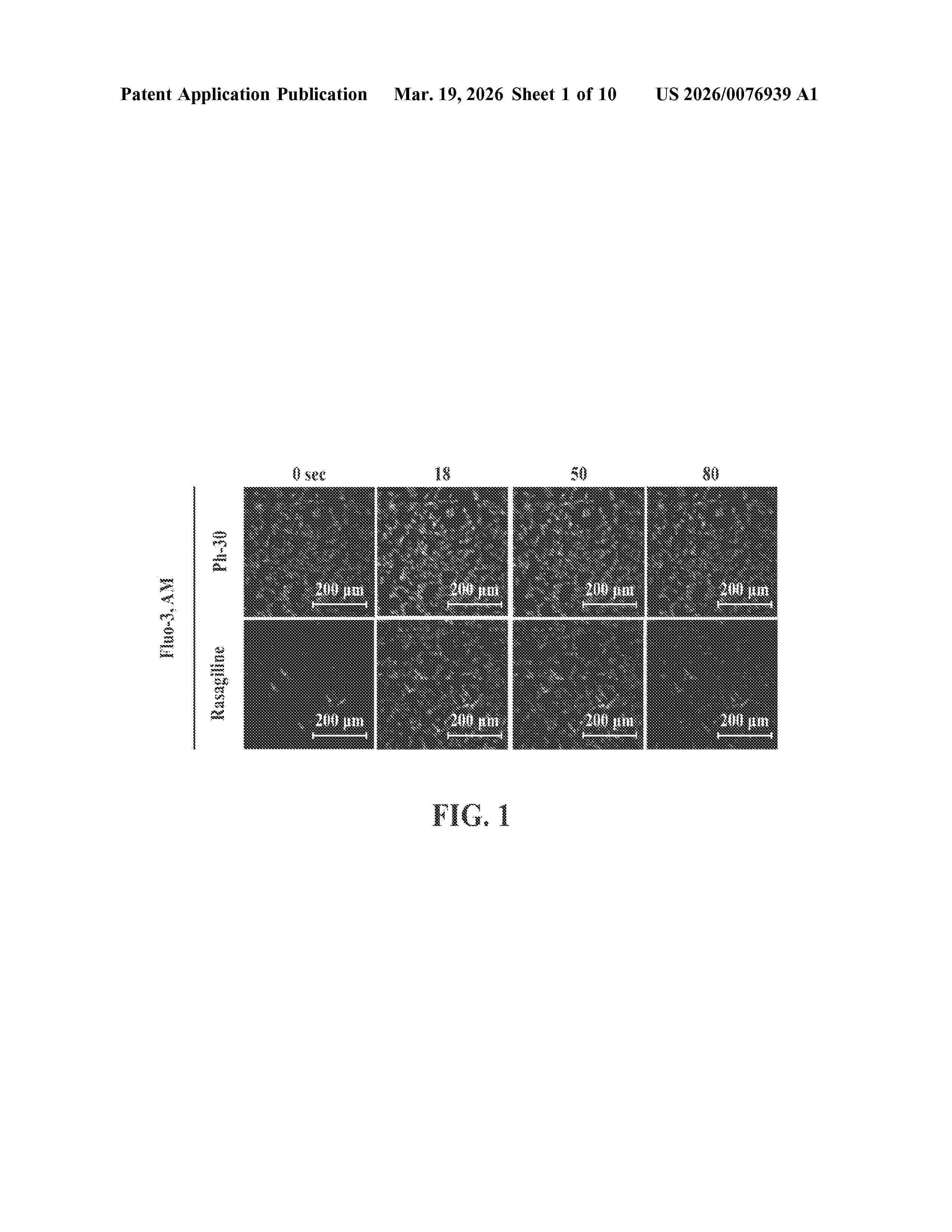 US_20260076939_A1