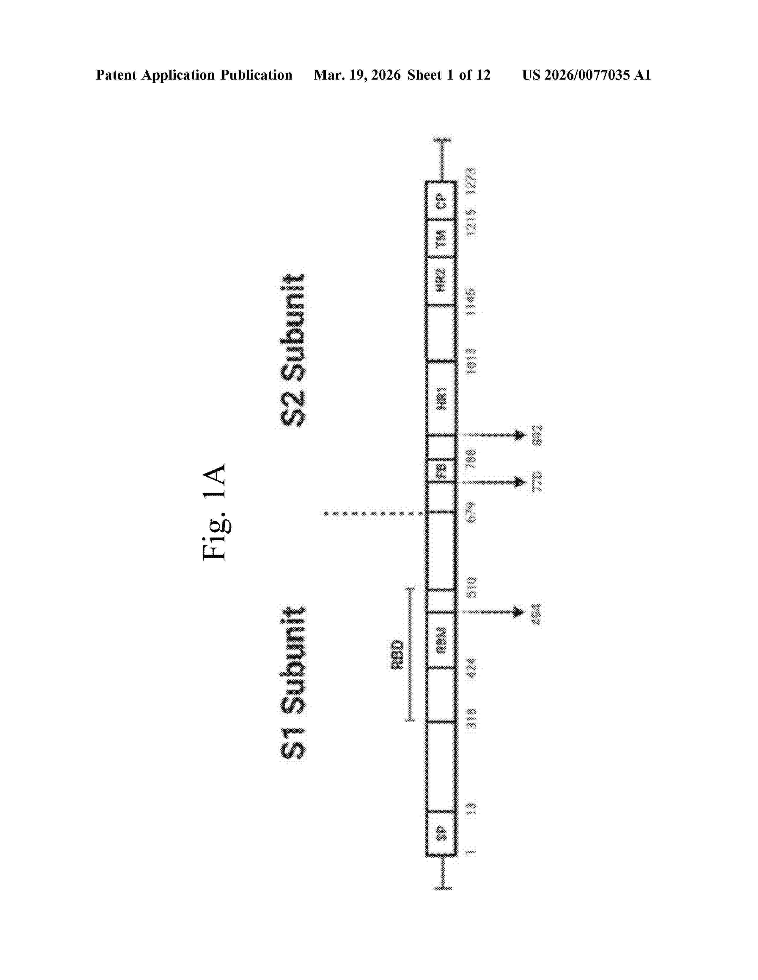 US_20260077035_A1