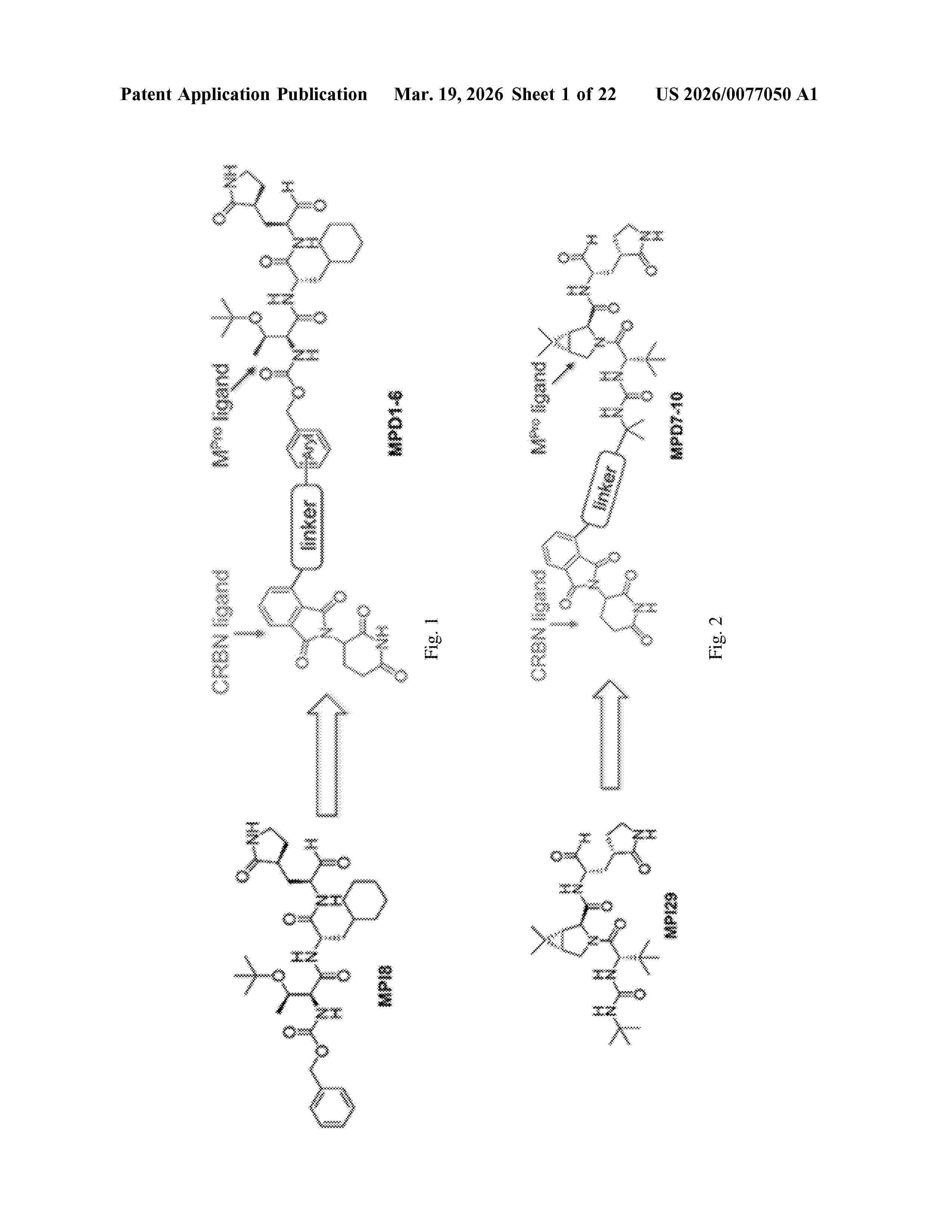 US_20260077050_A1