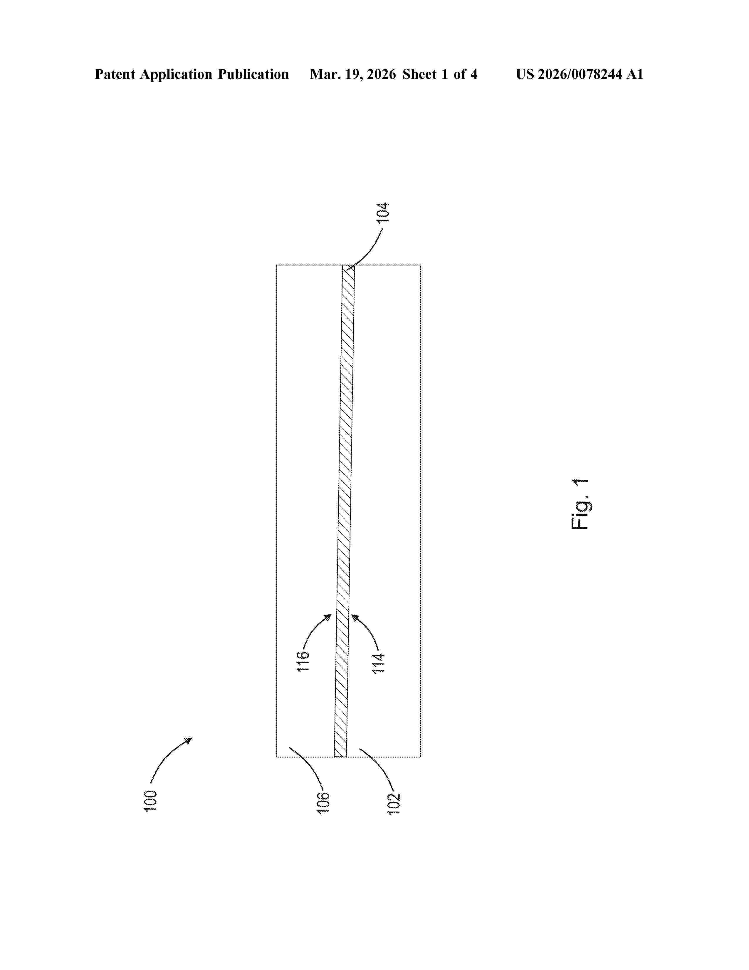 US_20260078244_A1