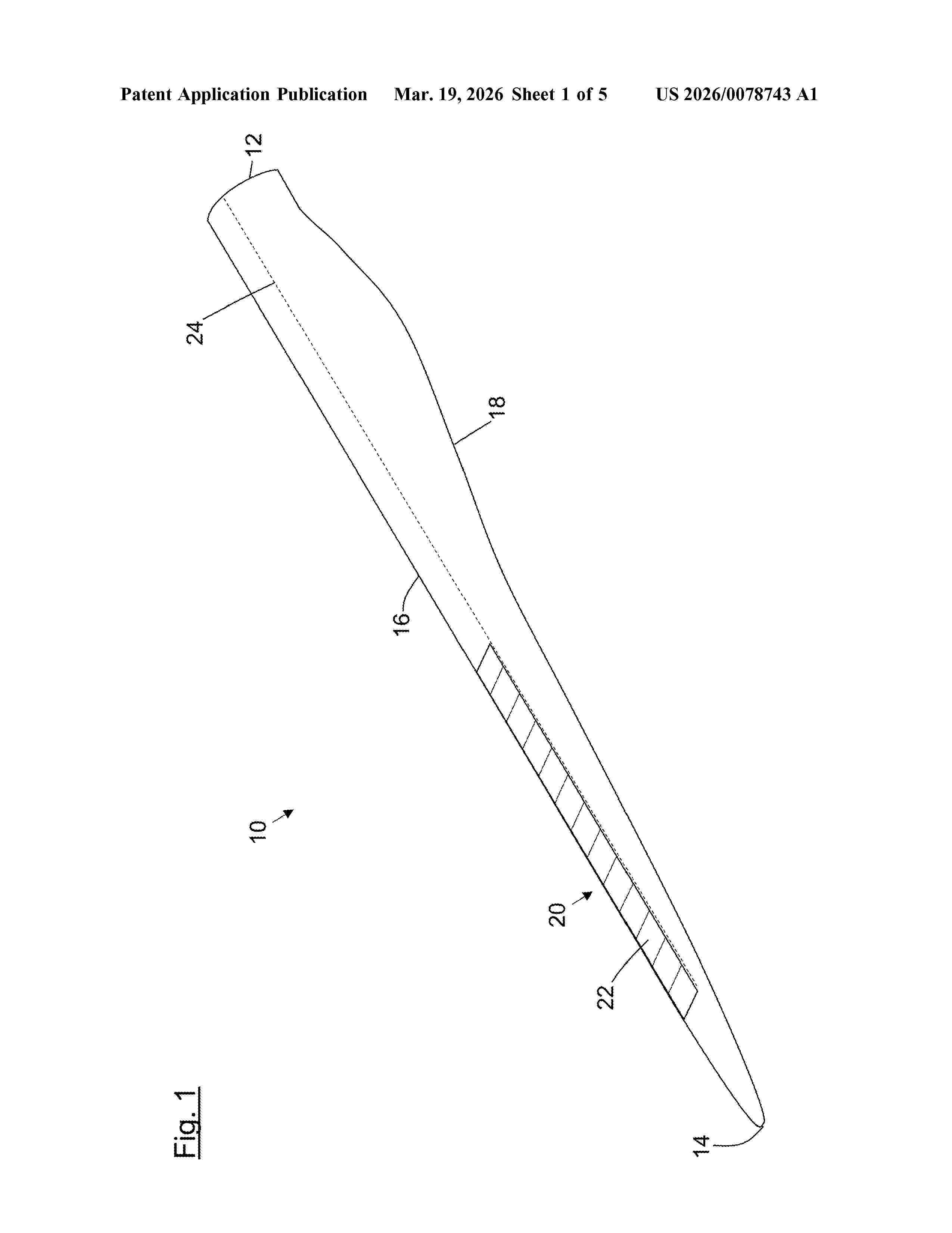 US_20260078743_A1