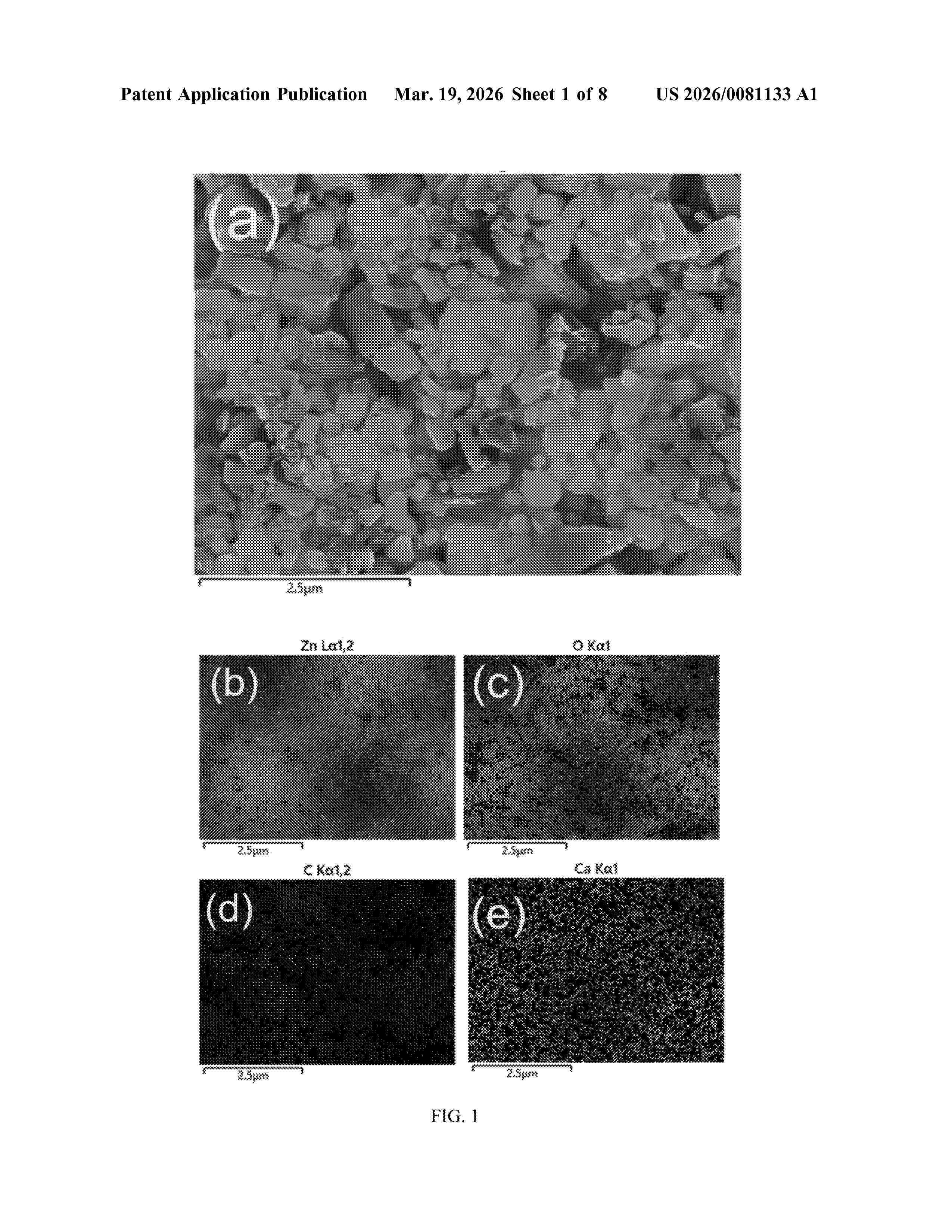 US_20260081133_A1
