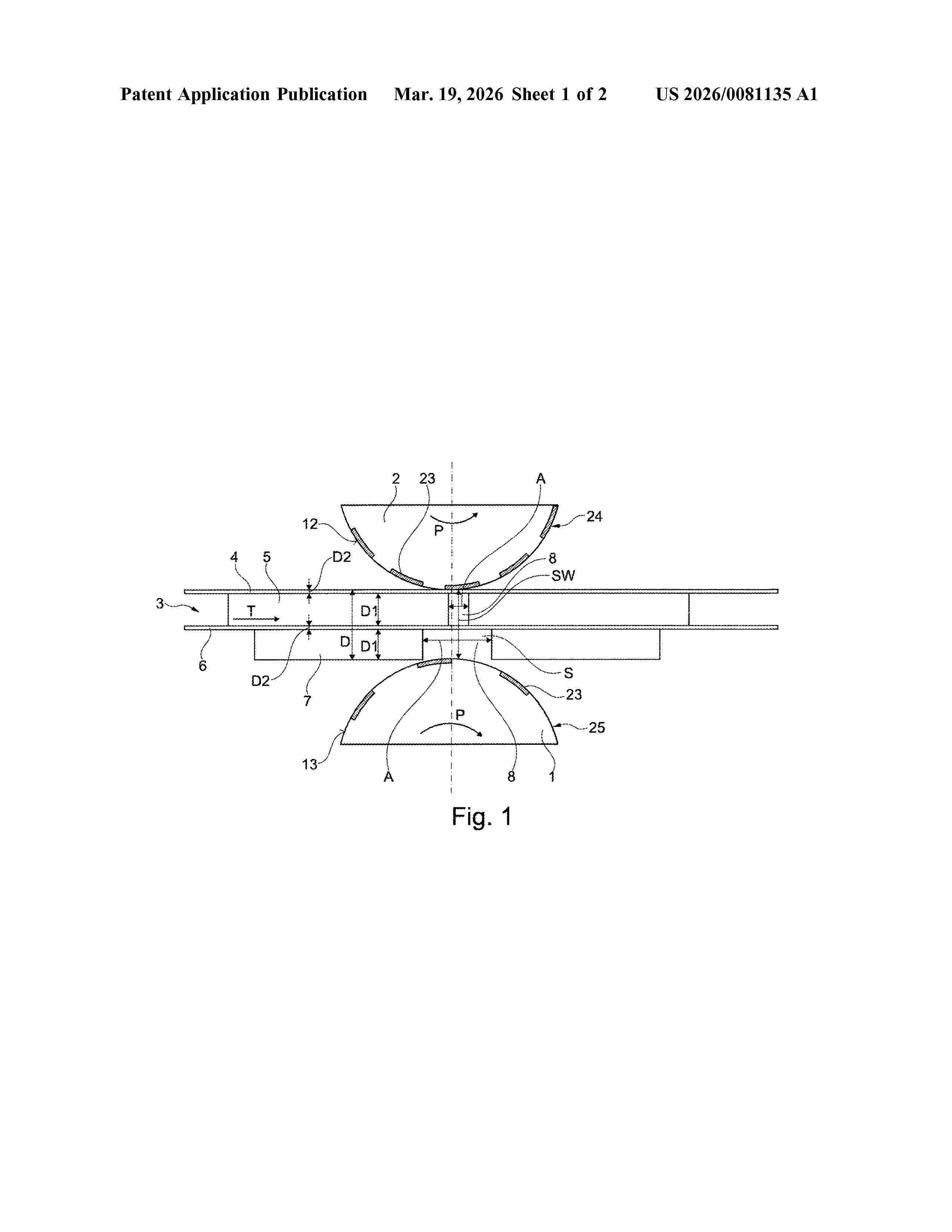 US_20260081135_A1