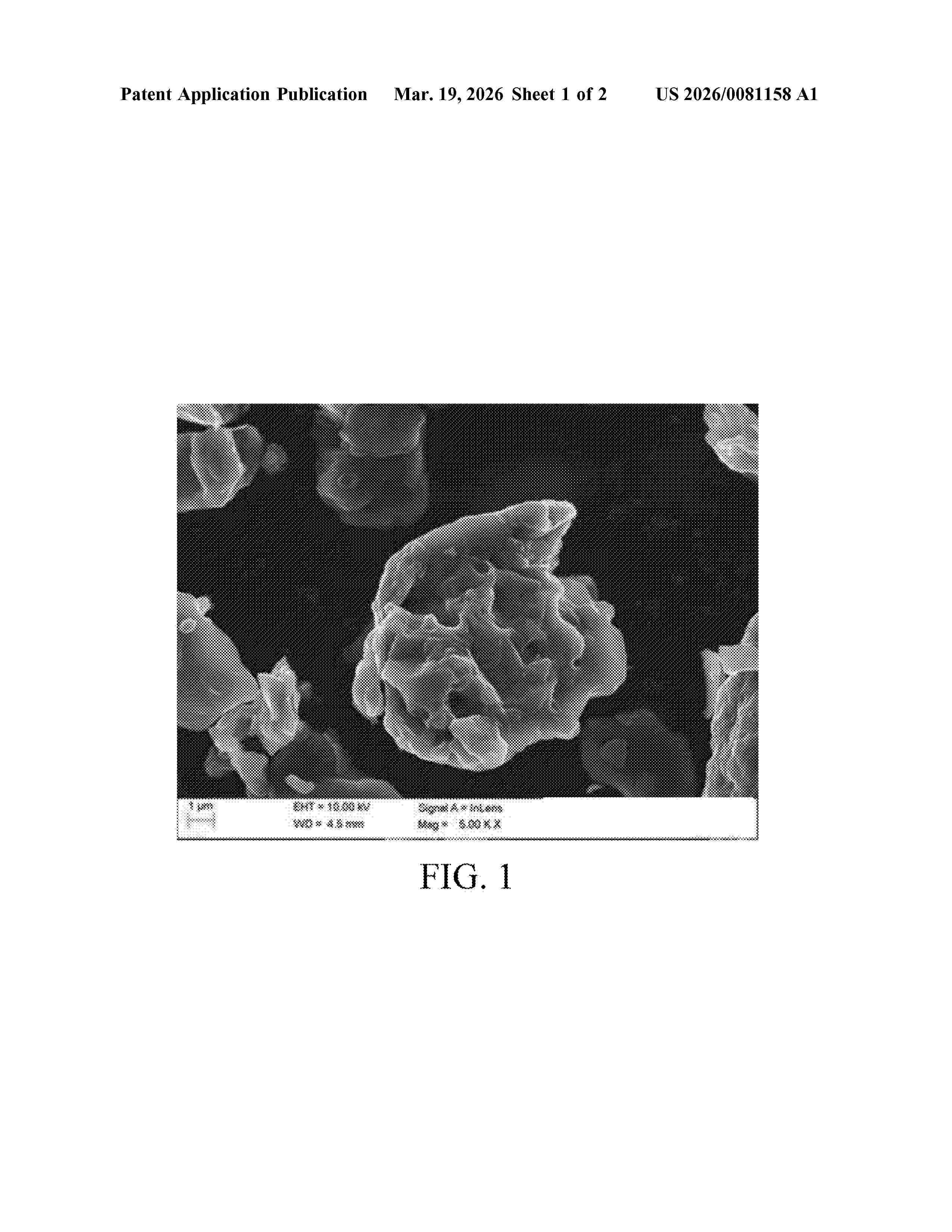 US_20260081158_A1
