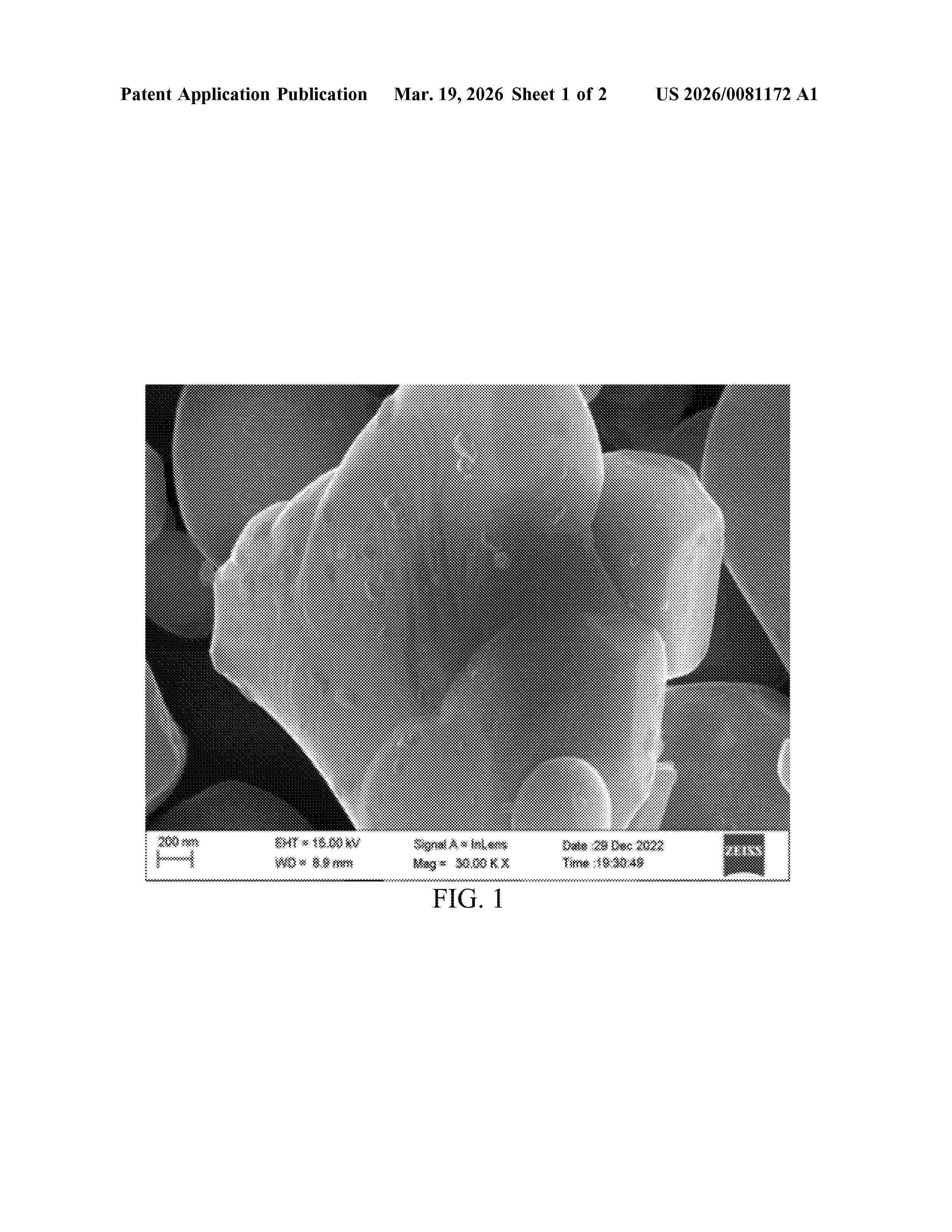 US_20260081172_A1