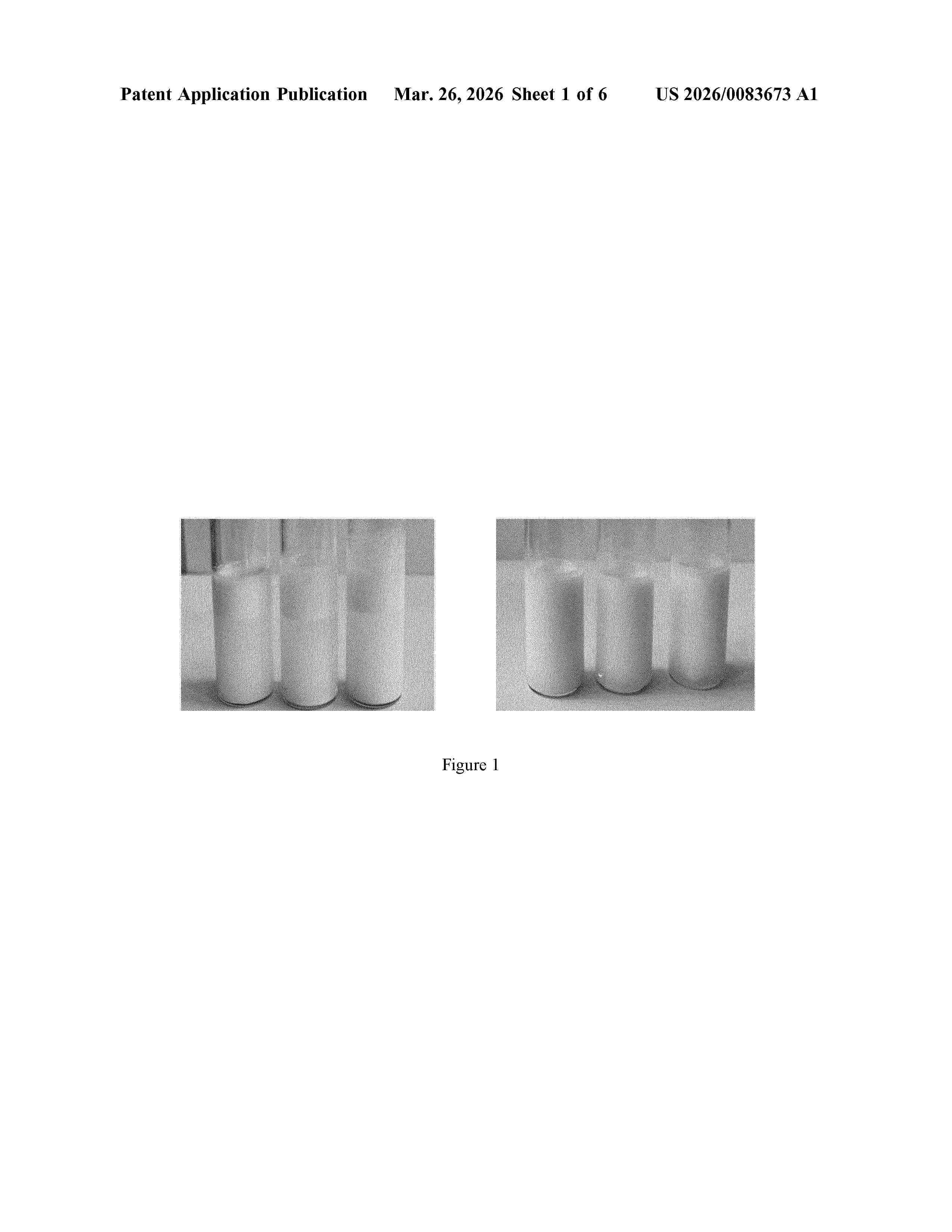 US_20260083673_A1