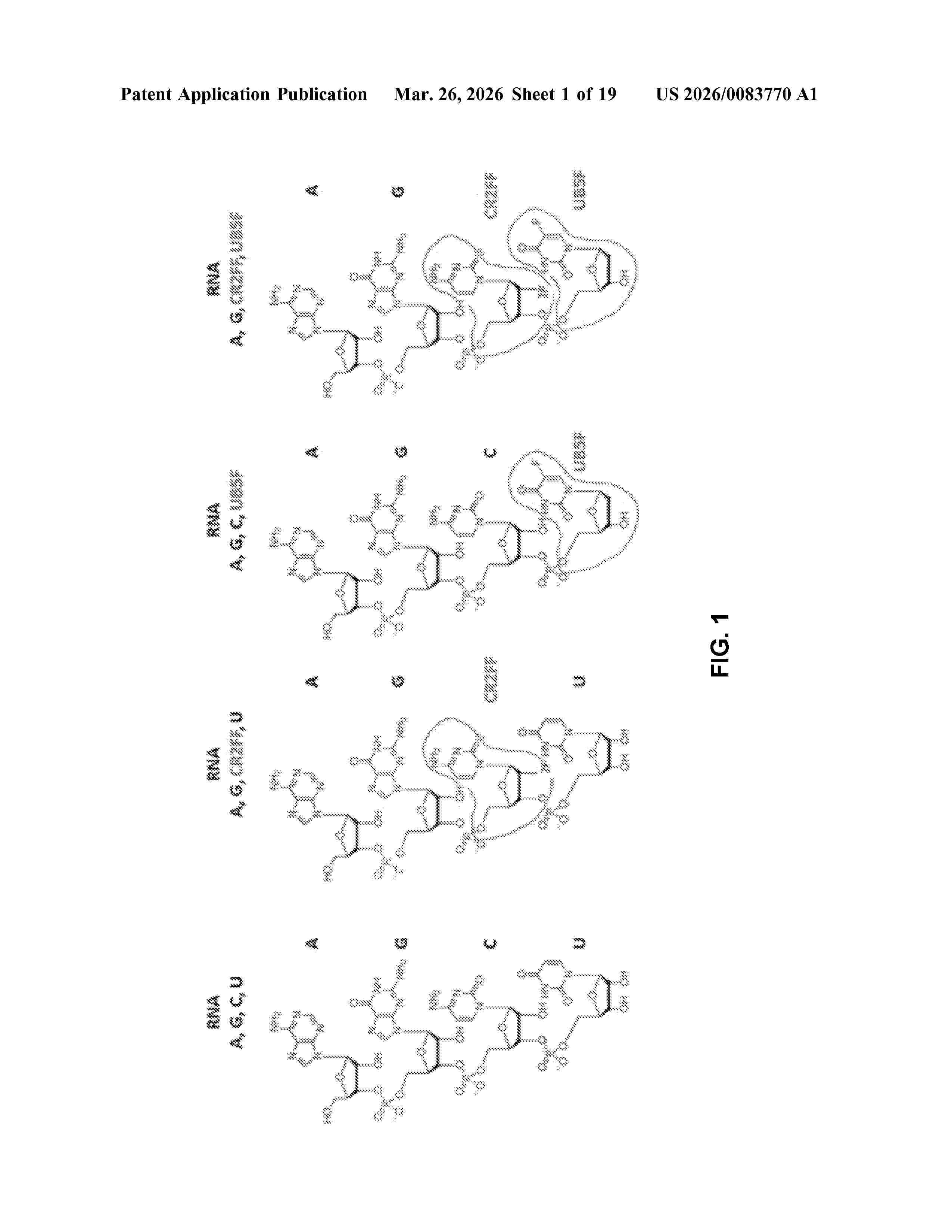 US_20260083770_A1