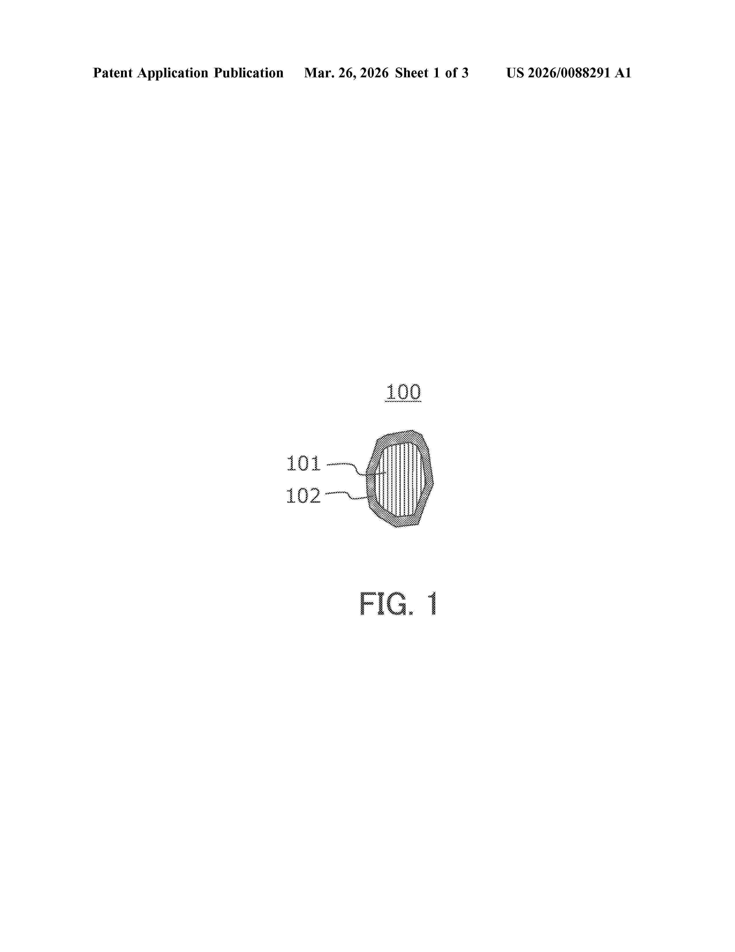 US_20260088291_A1