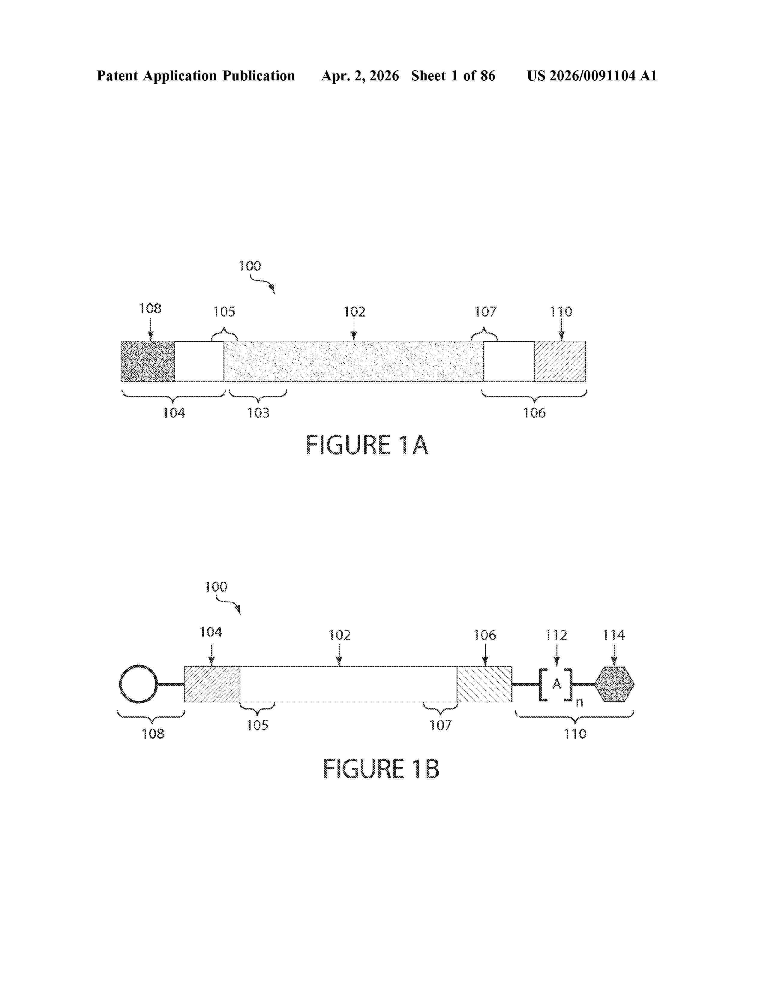 US_20260091104_A1