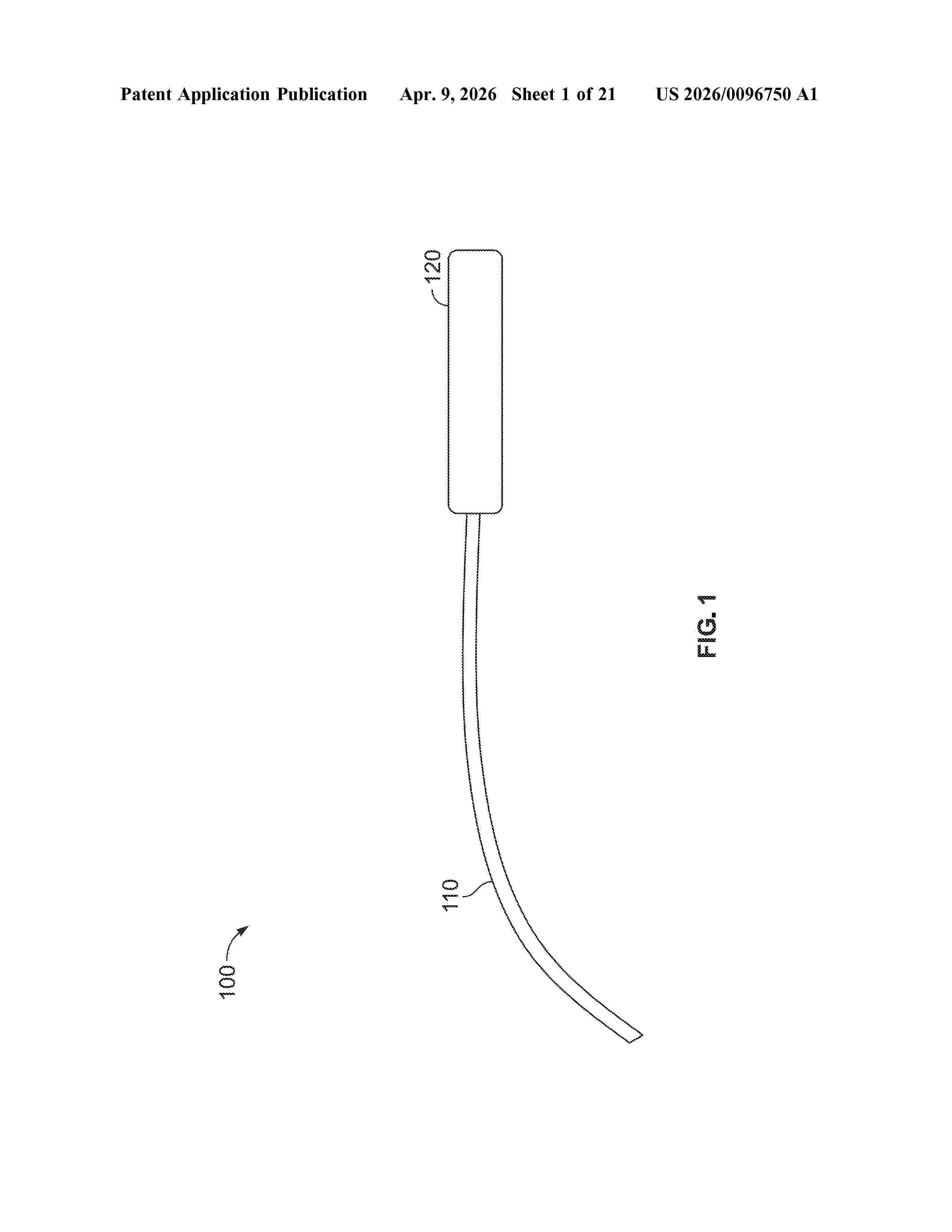 US_20260096750_A1