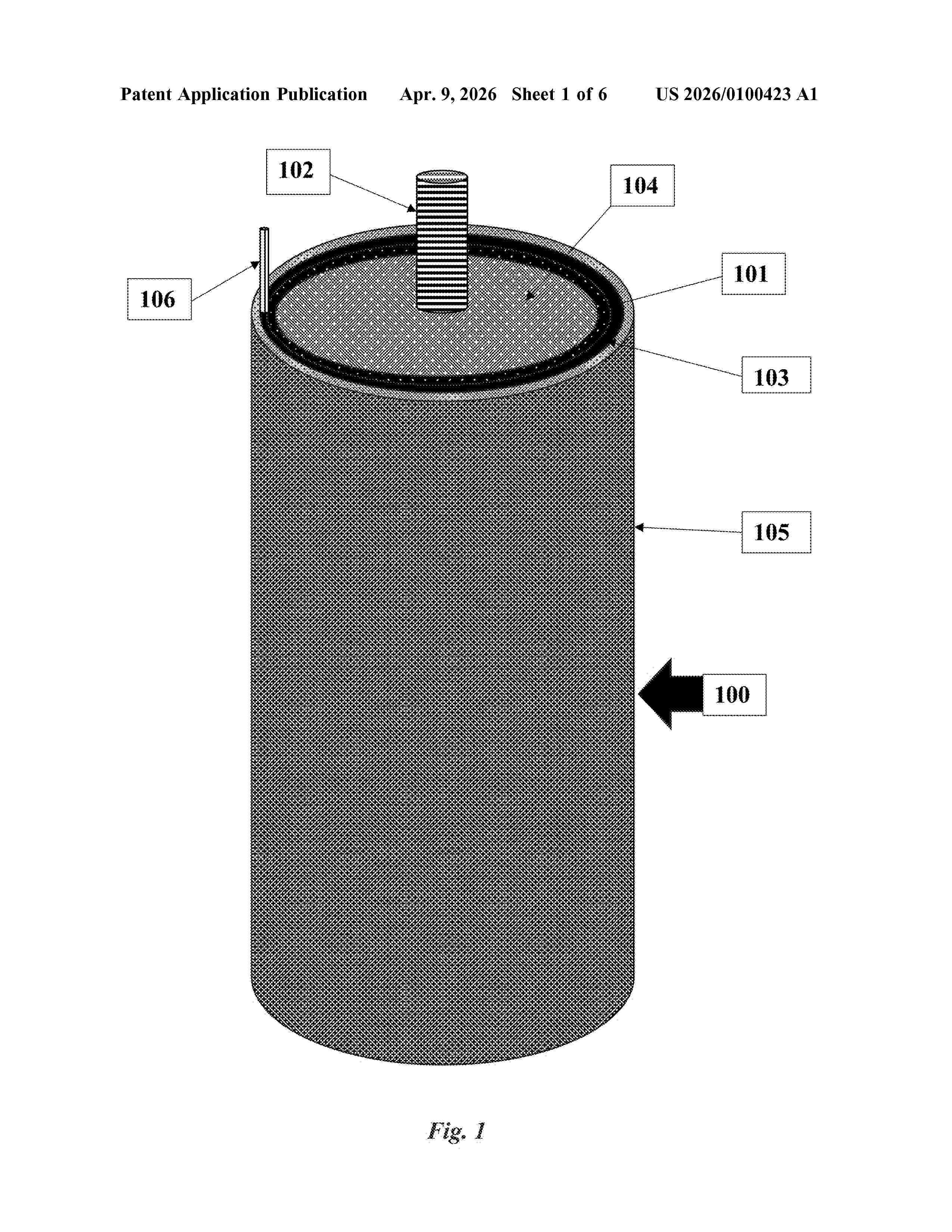 US_20260100423_A1
