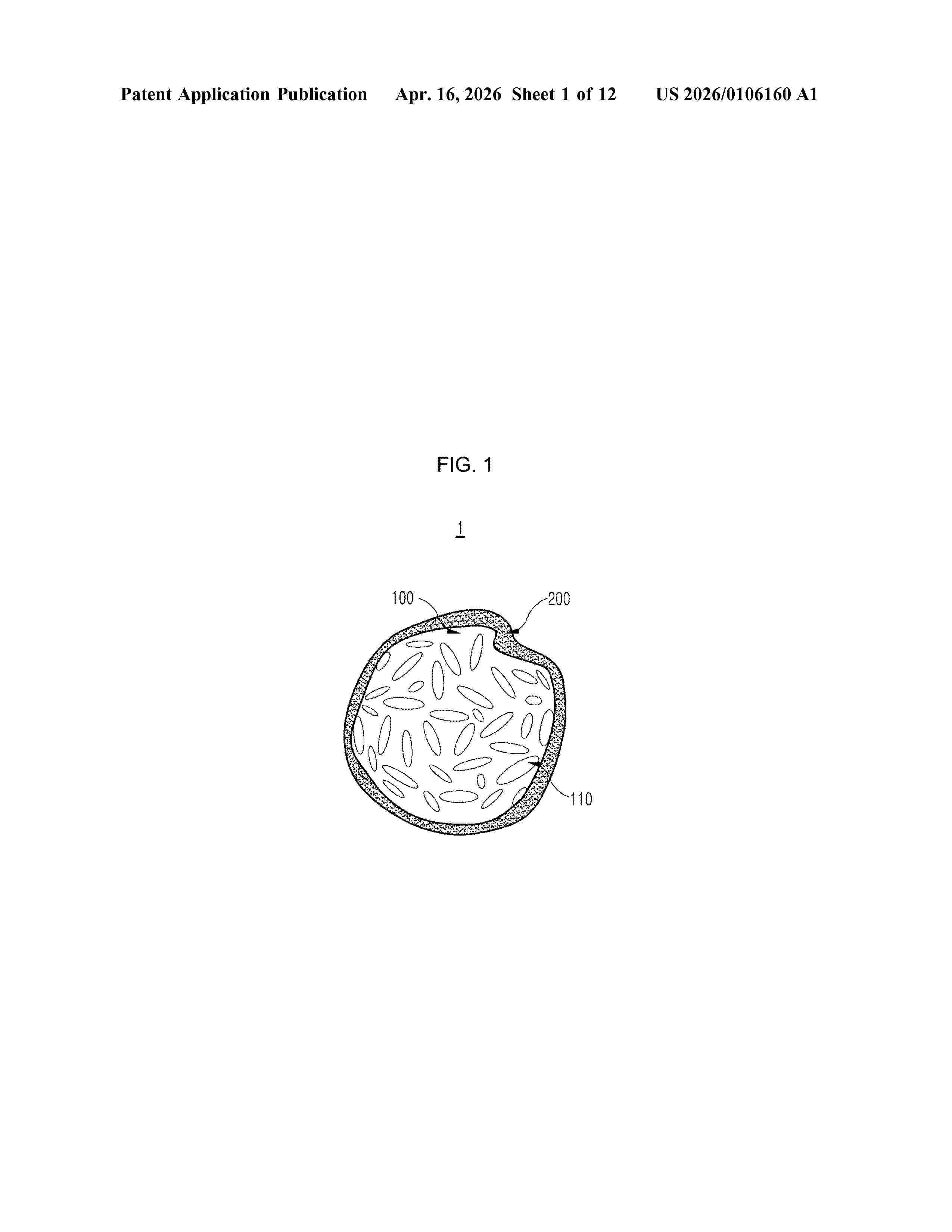 US_20260106160_A1