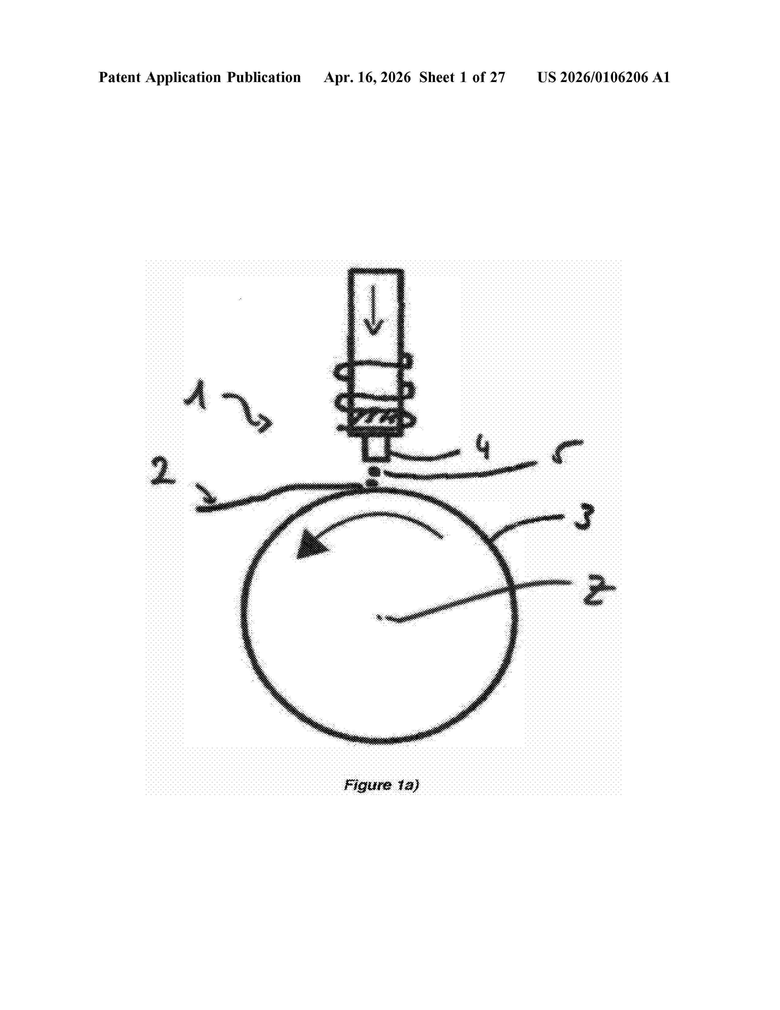 US_20260106206_A1