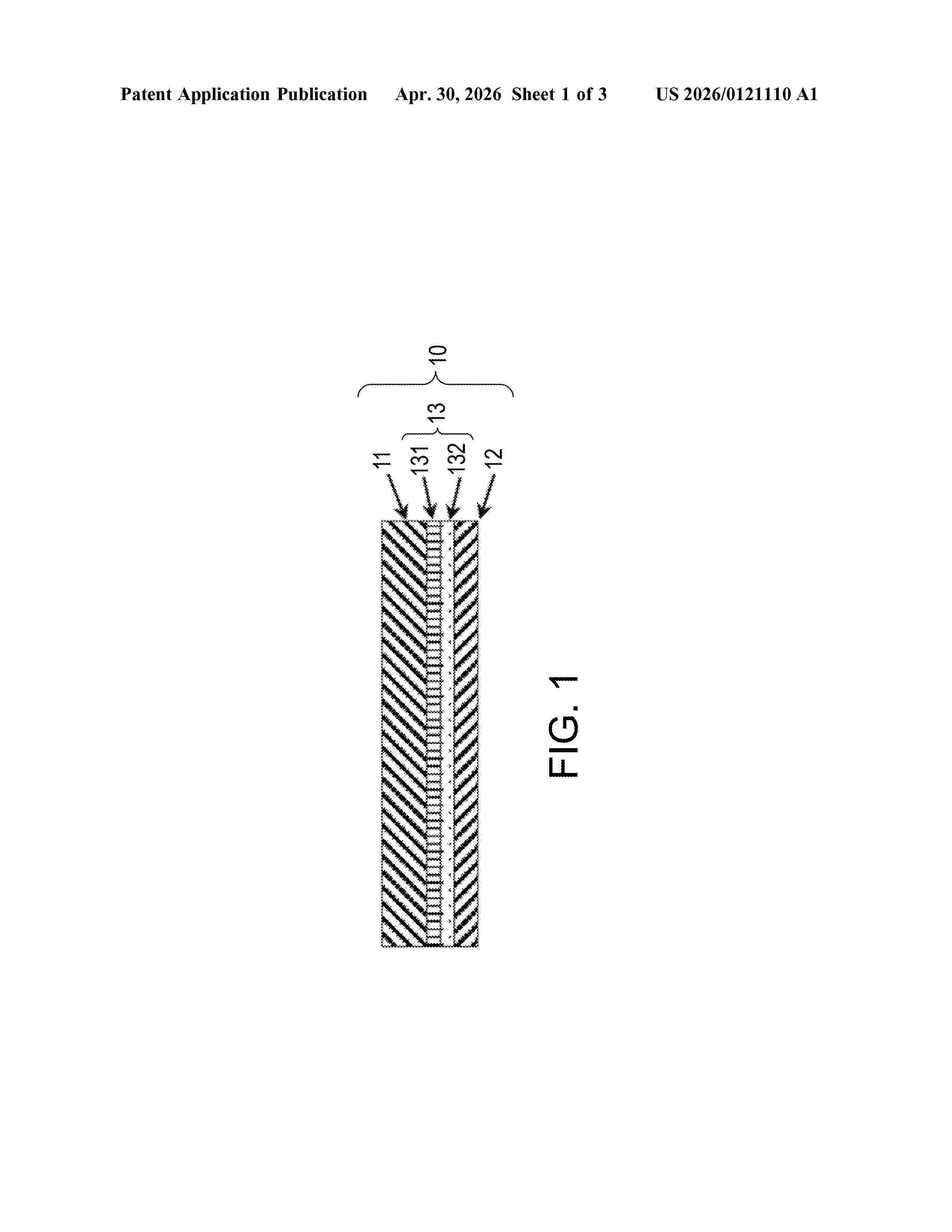 US_20260121110_A1