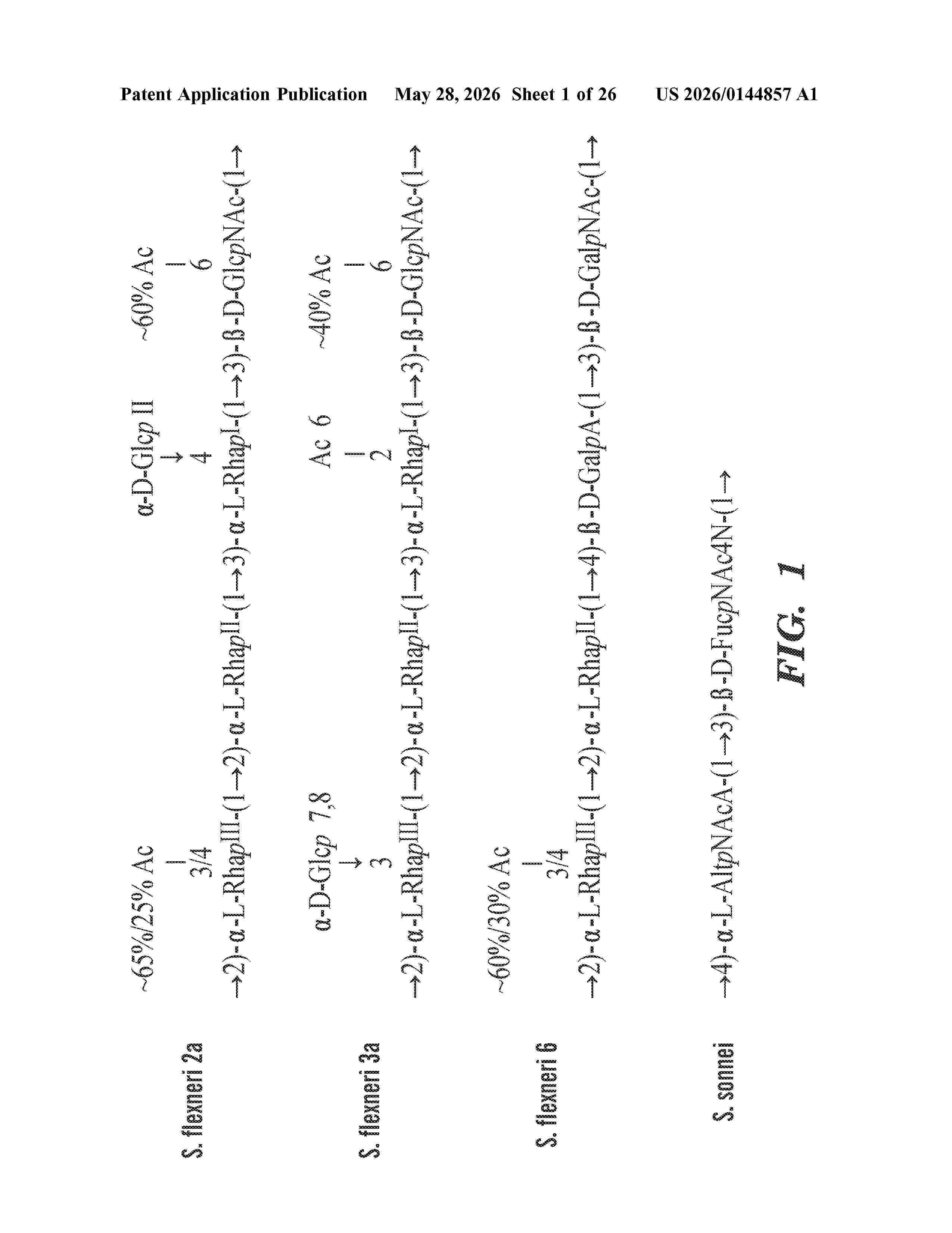 US_20260144857_A1