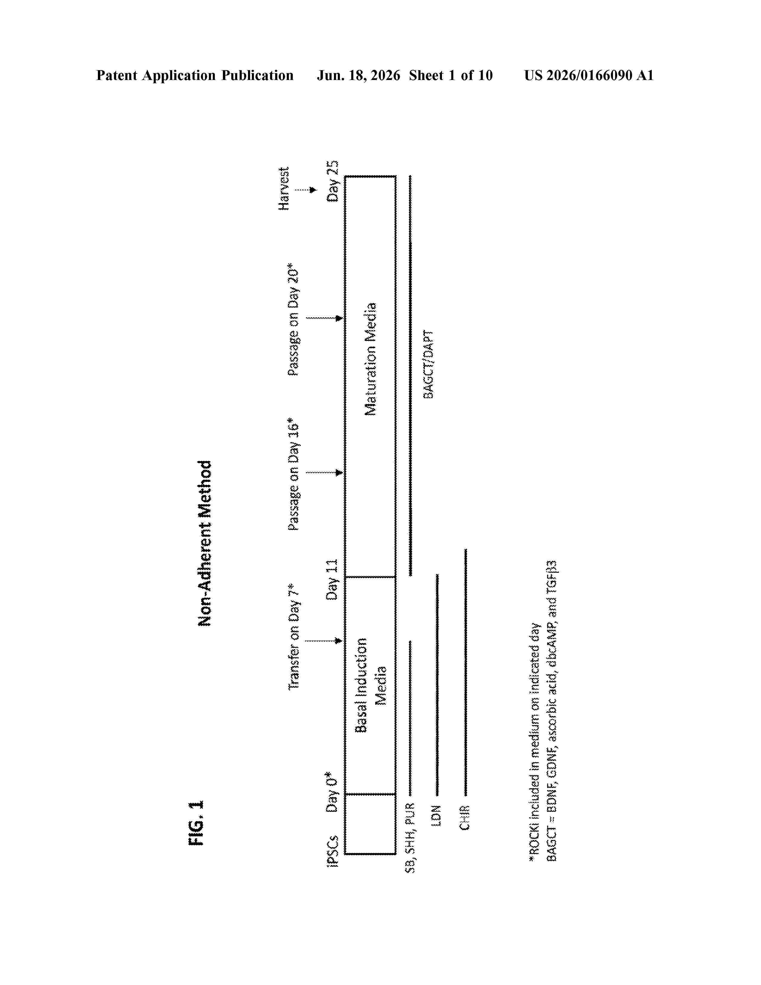 US_20260166090_A1