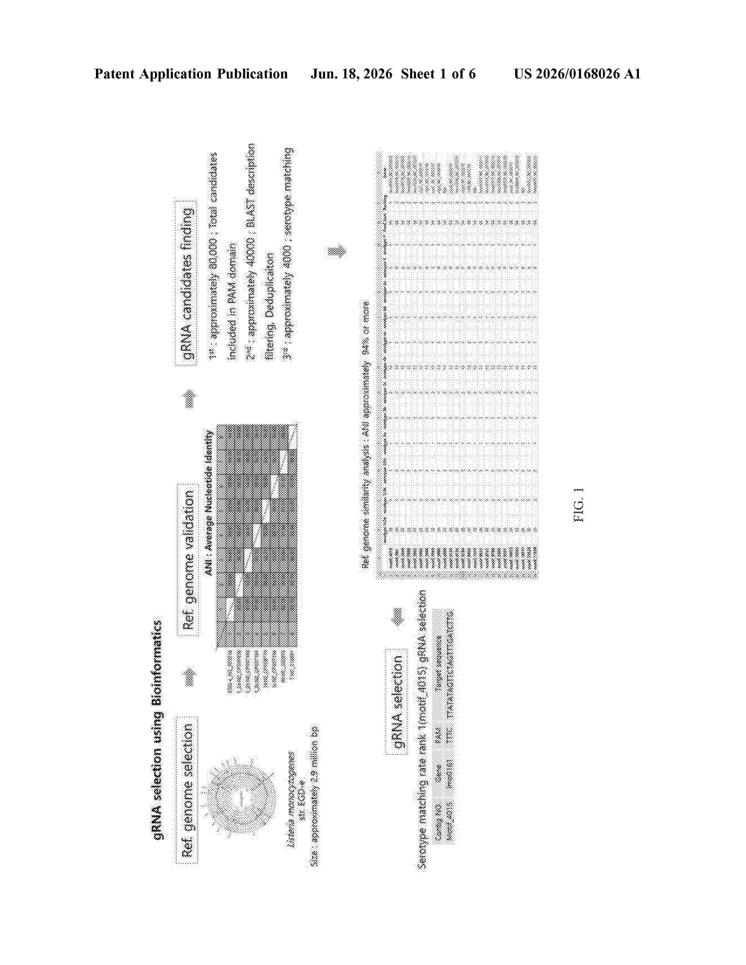 US_20260168026_A1