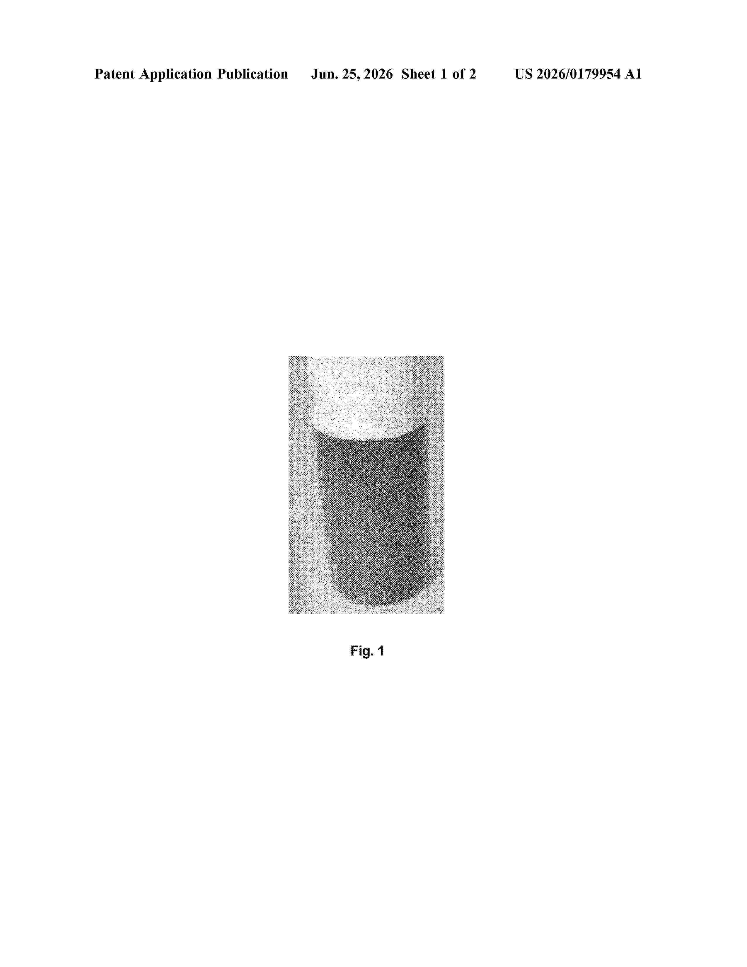 US_20260179954_A1