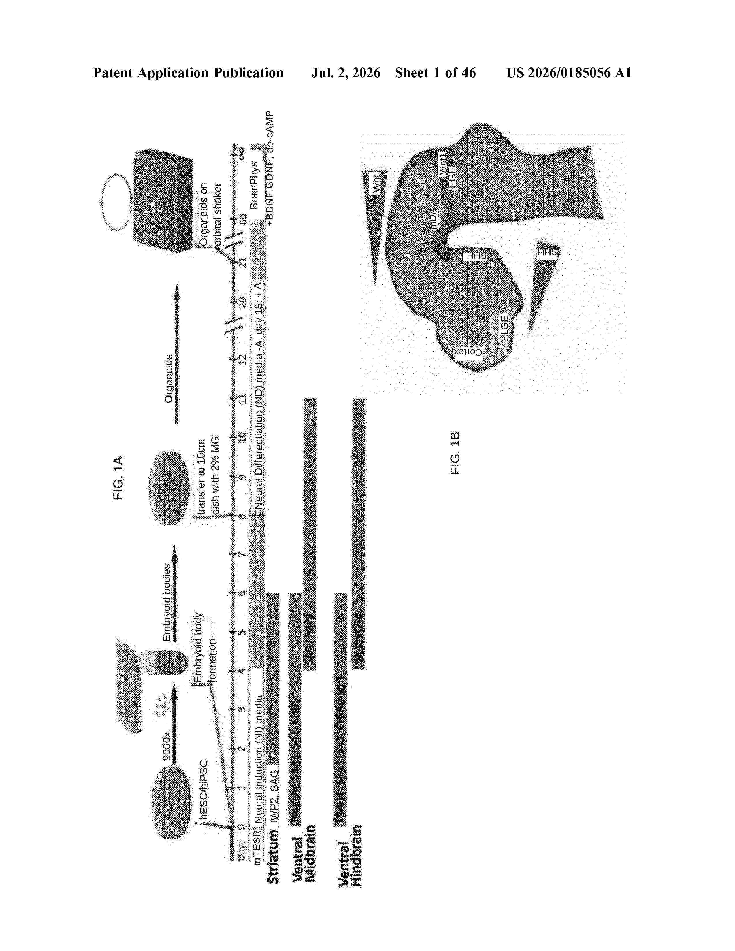 US_20260185056_A1
