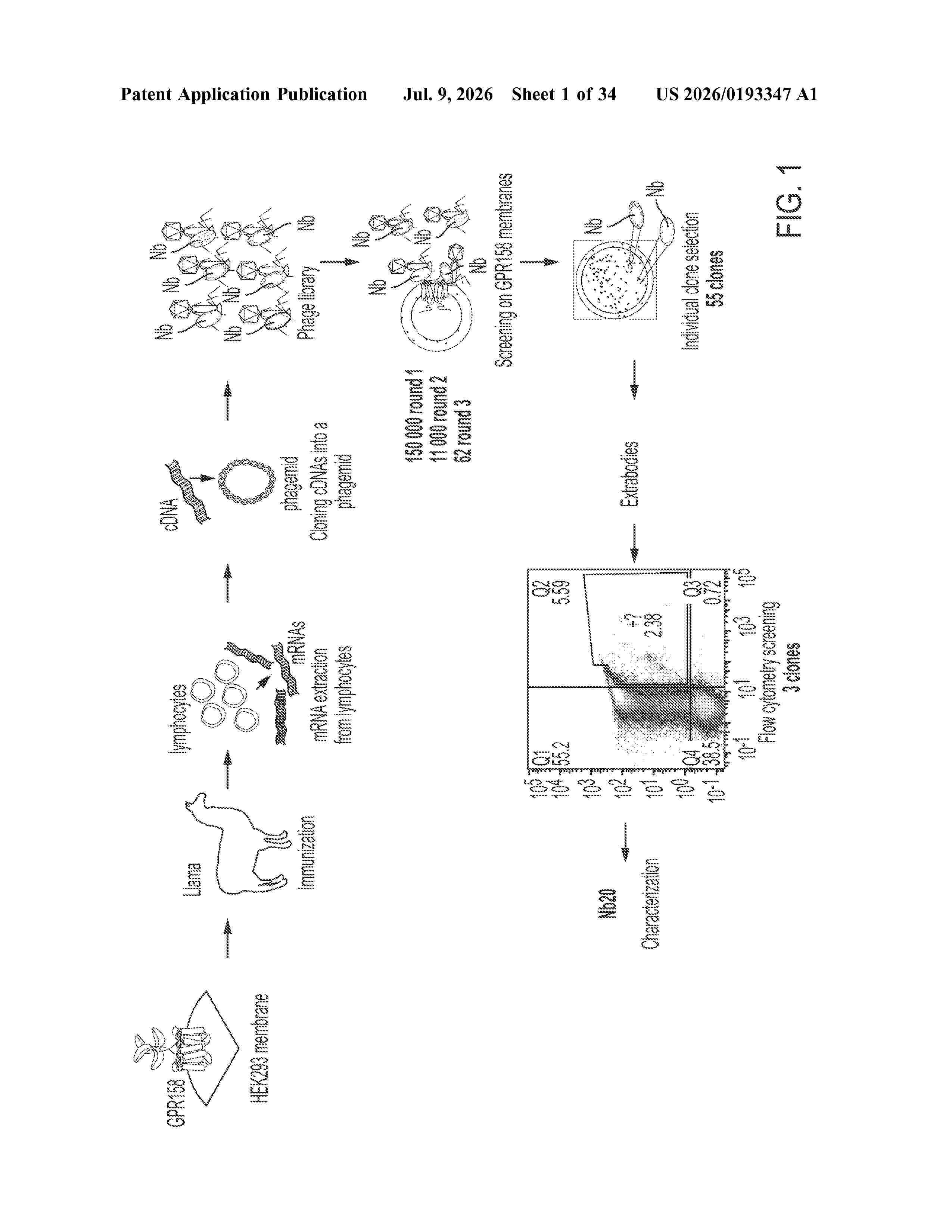 US_20260193347_A1