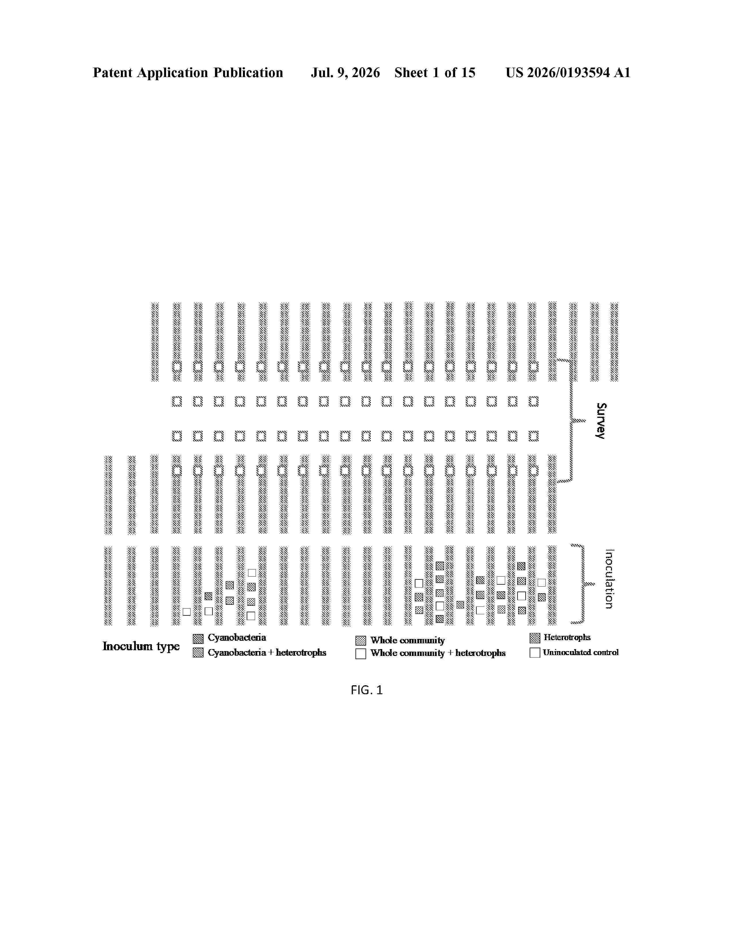 US_20260193594_A1