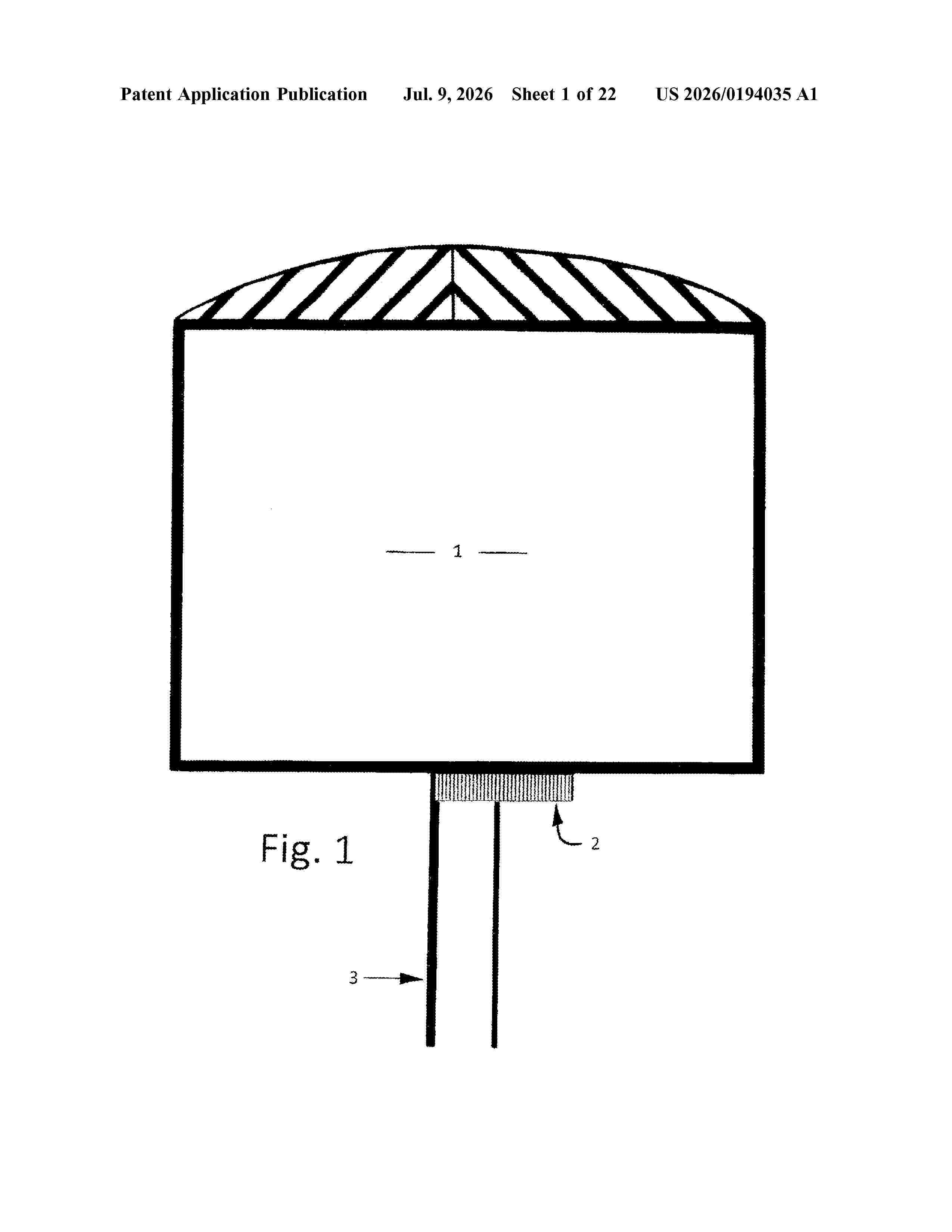 US_20260194035_A1