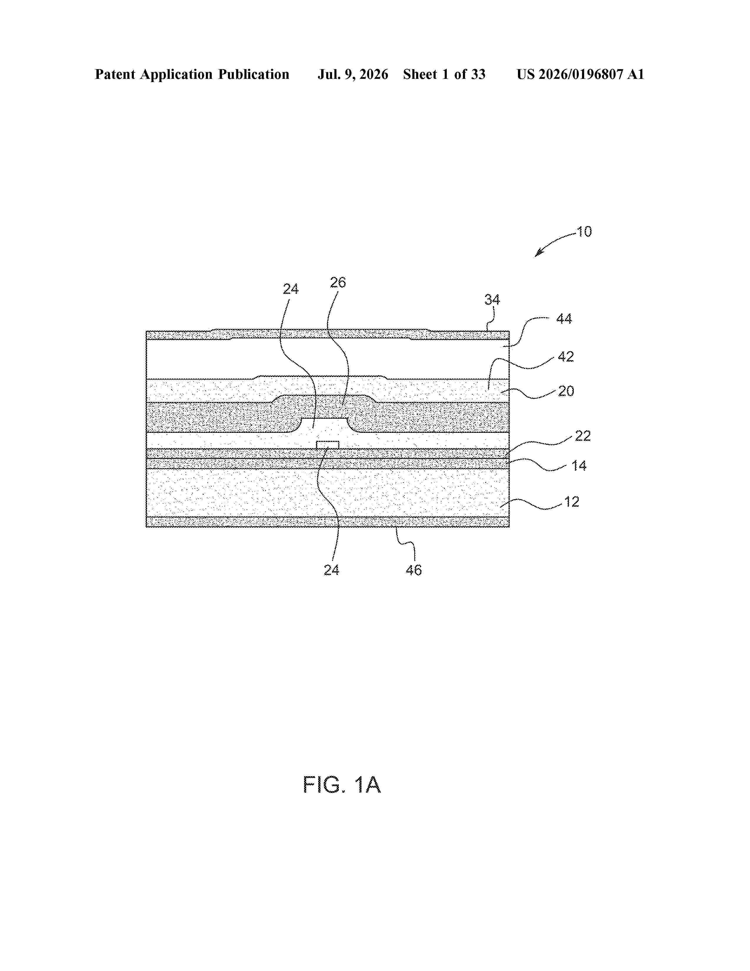 US_20260196807_A1