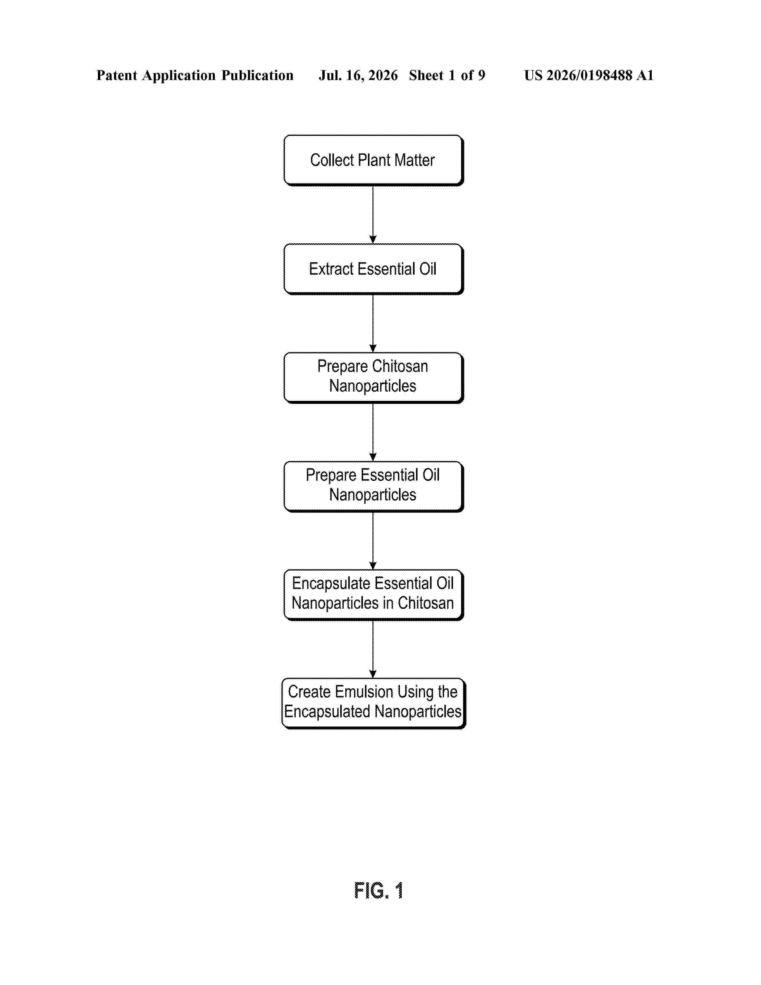 US_20260198488_A1