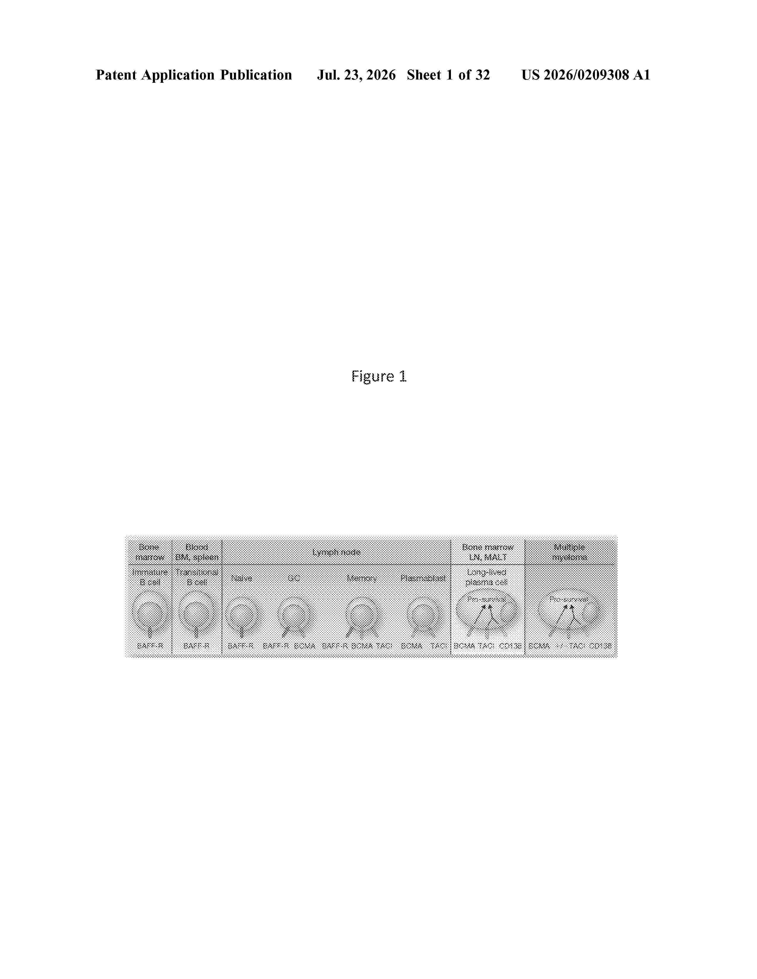 US_20260209308_A1