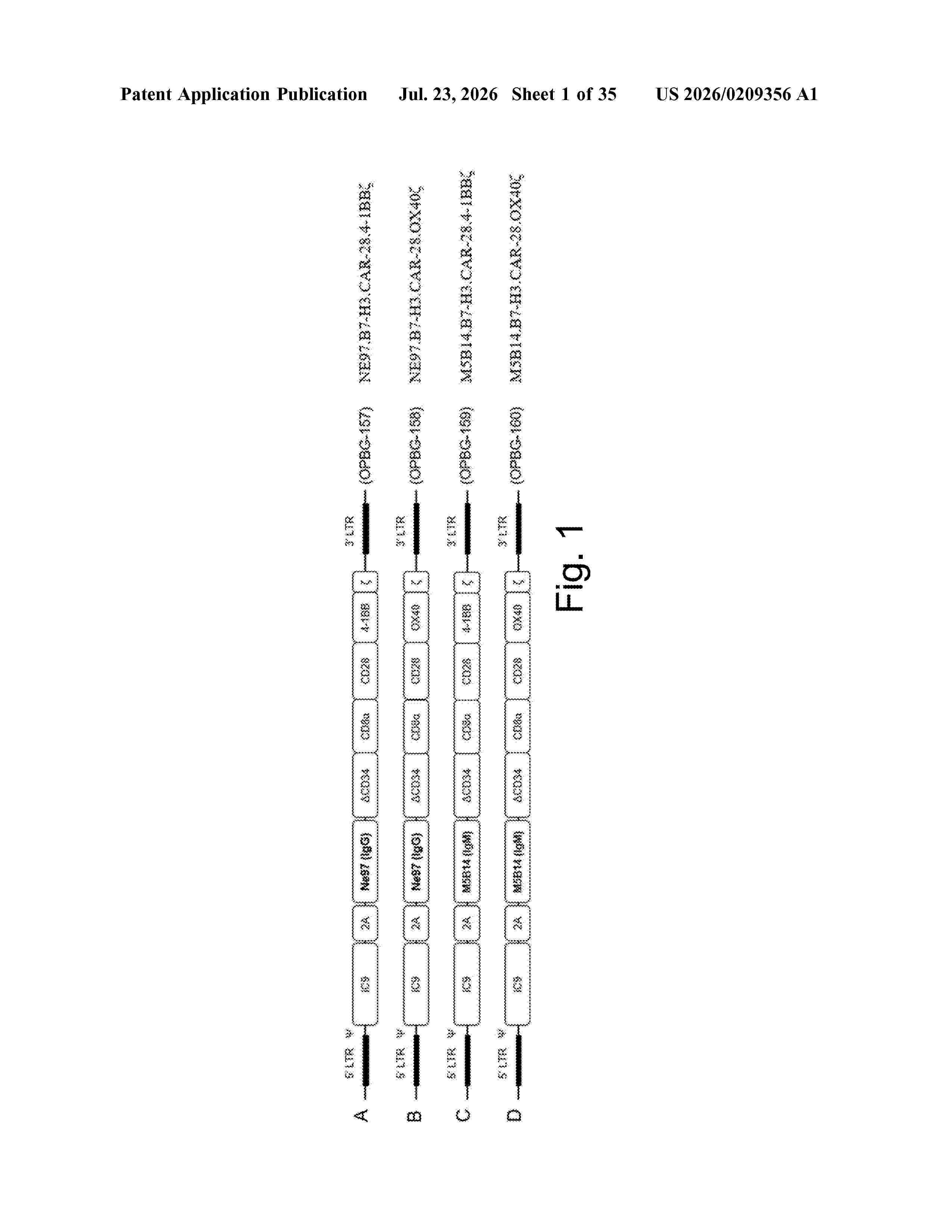 US_20260209356_A1