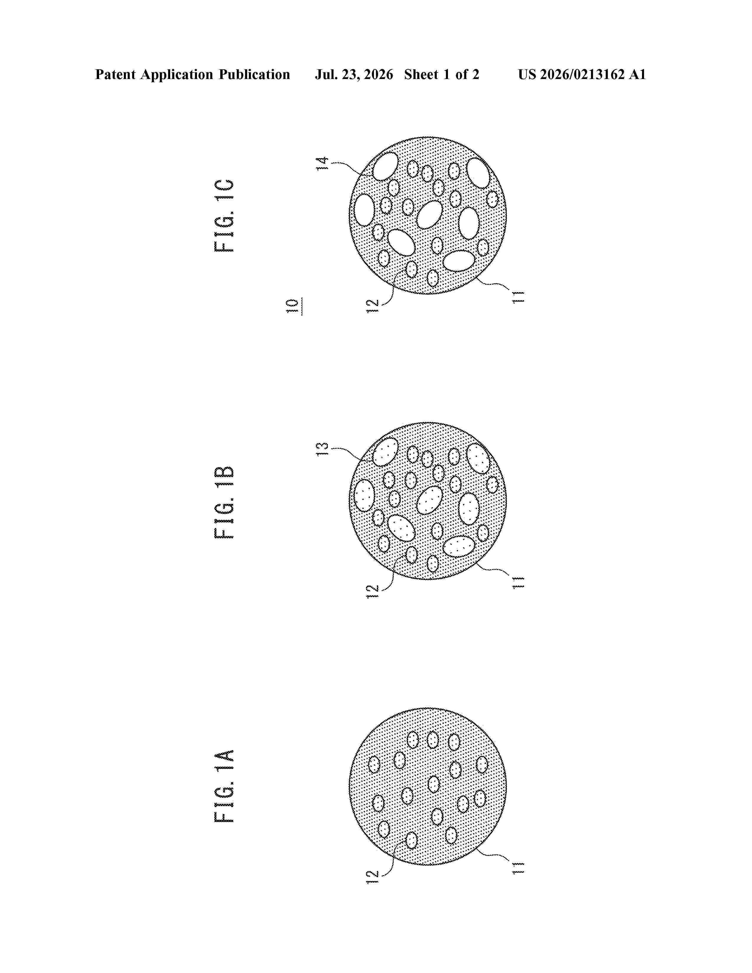US_20260213162_A1
