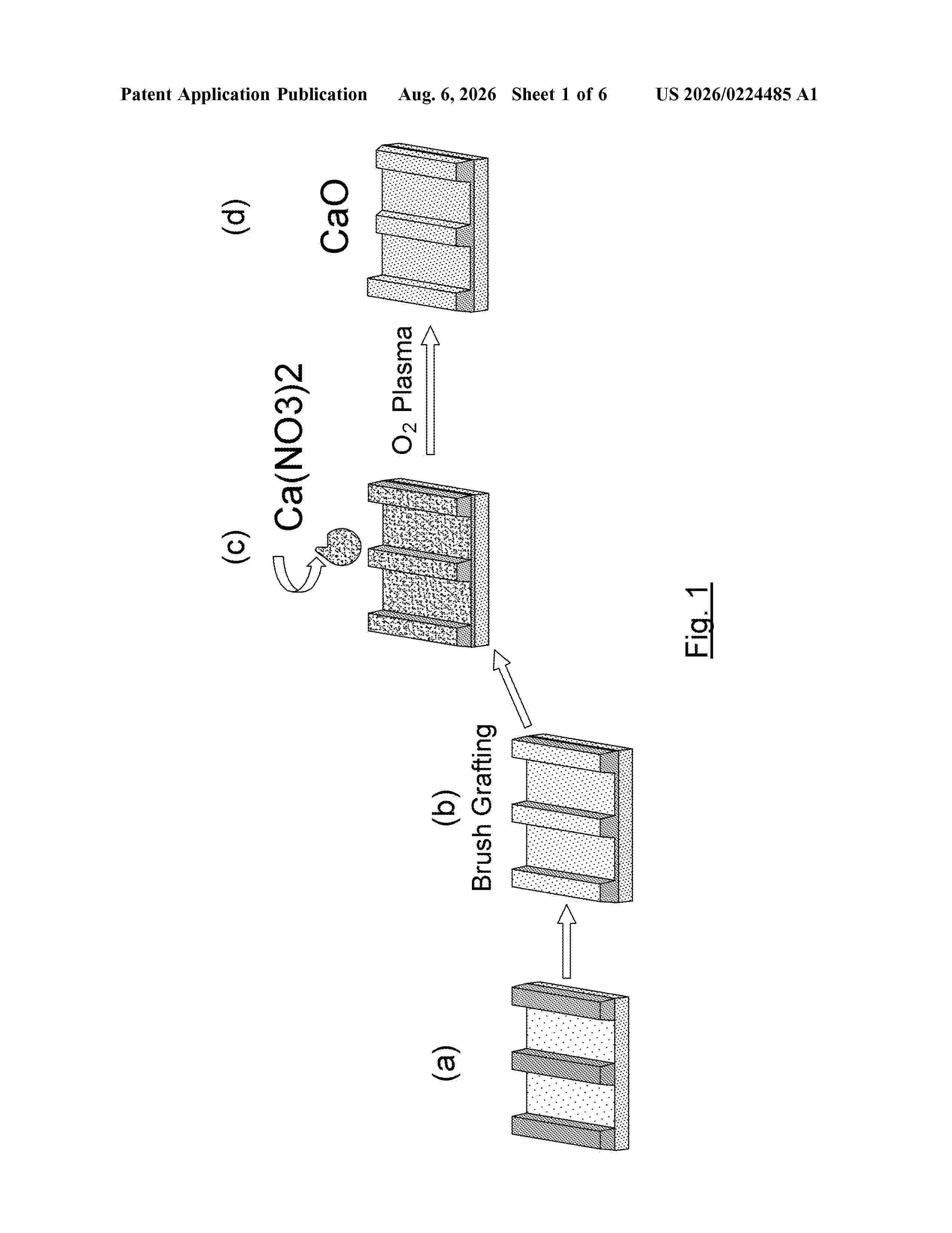 US_20260224485_A1