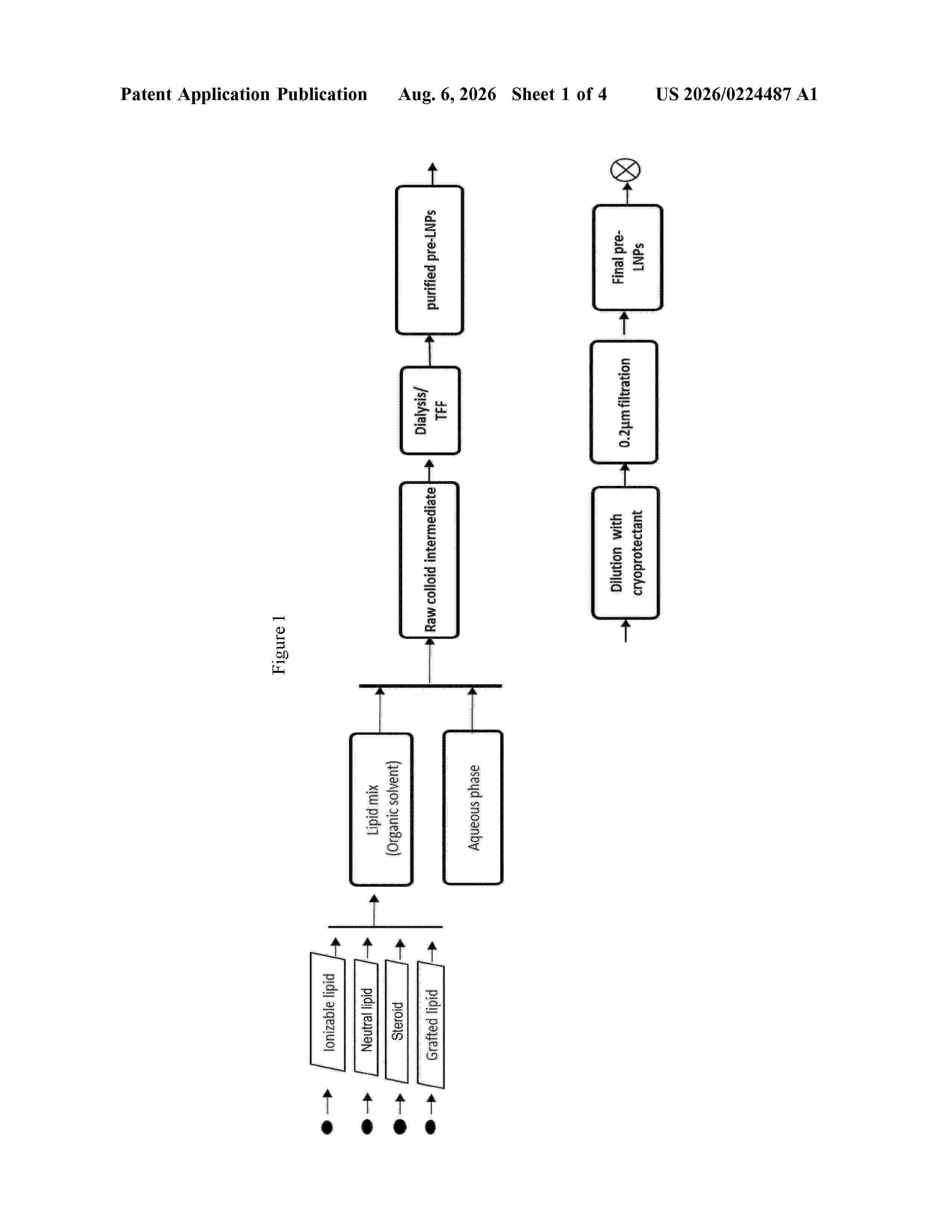 US_20260224487_A1