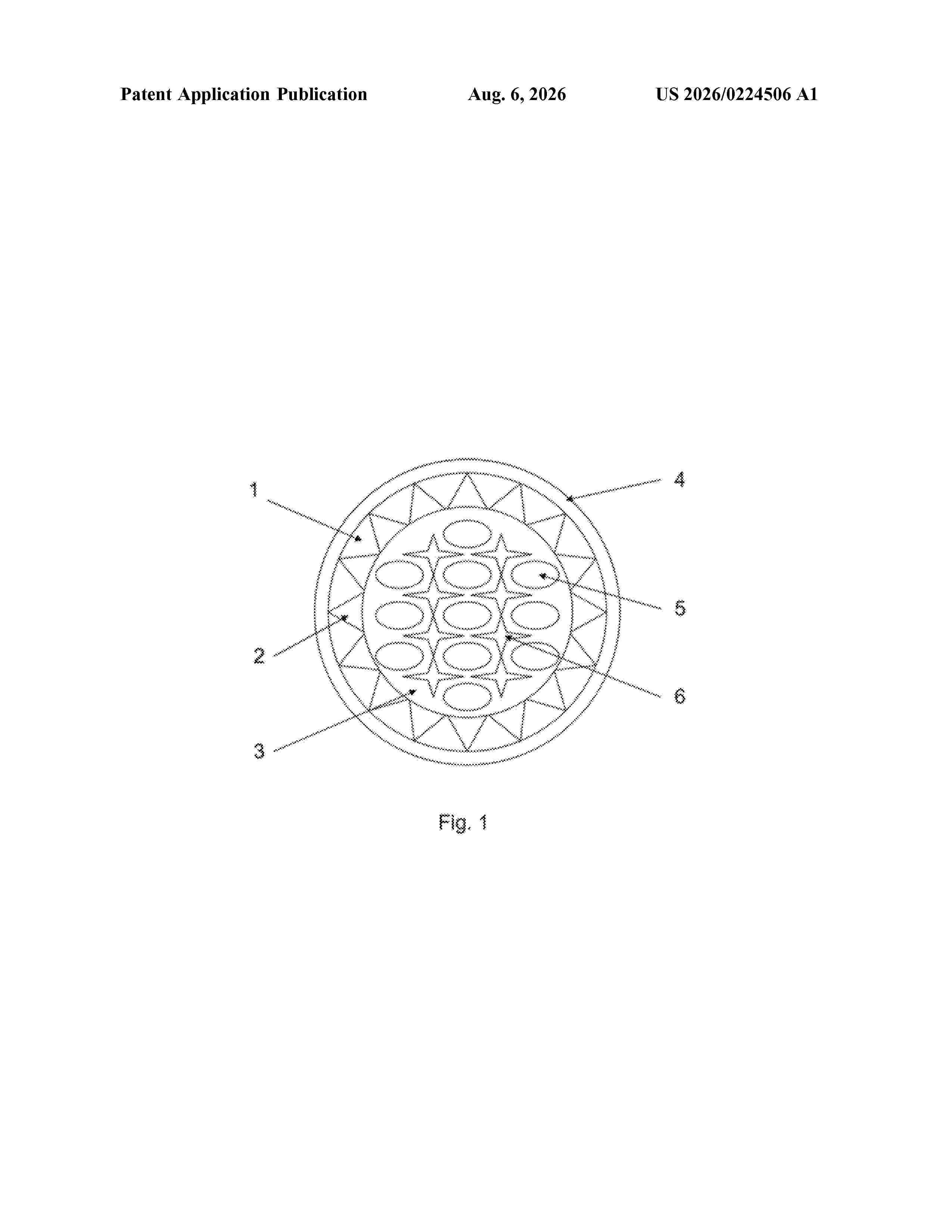 US_20260224506_A1