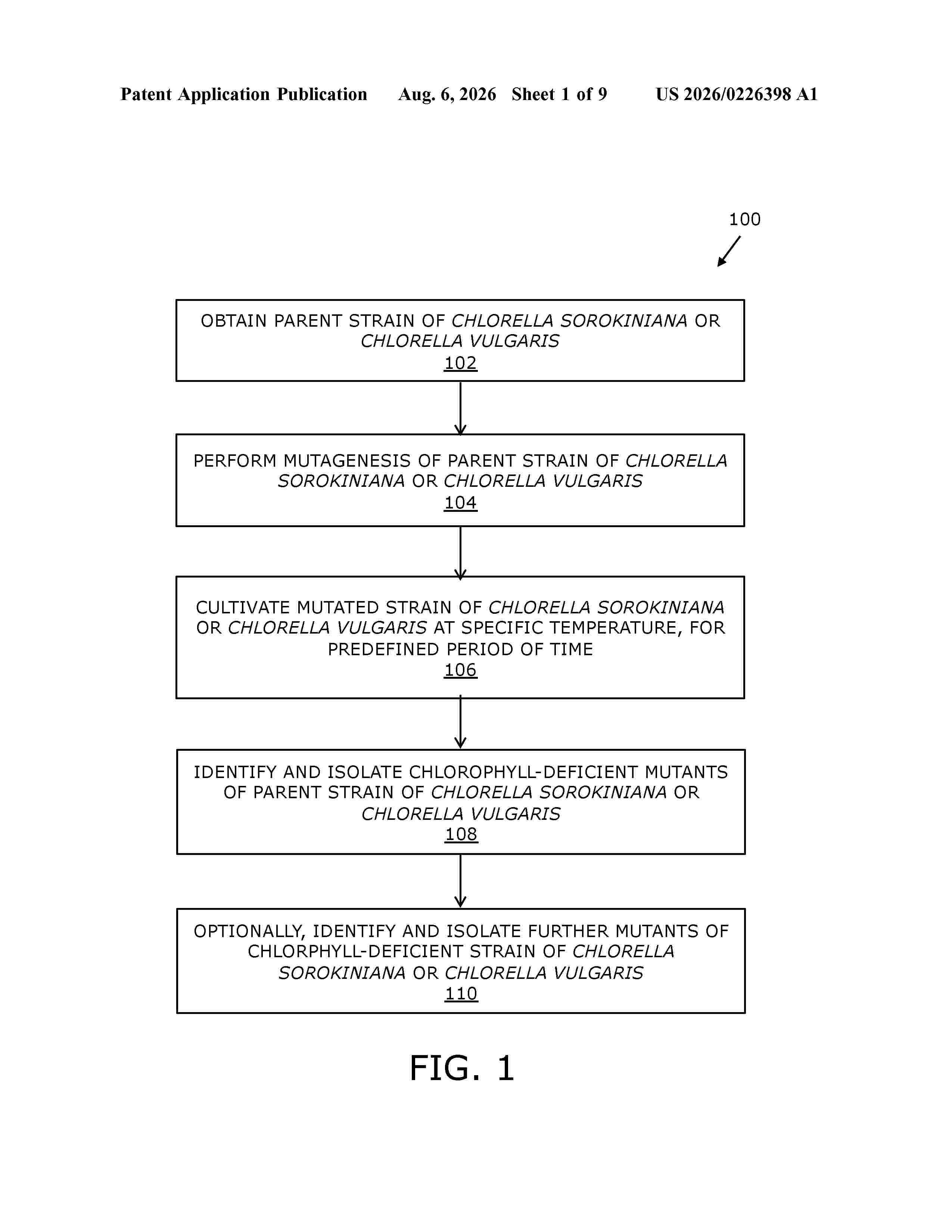 US_20260226398_A1